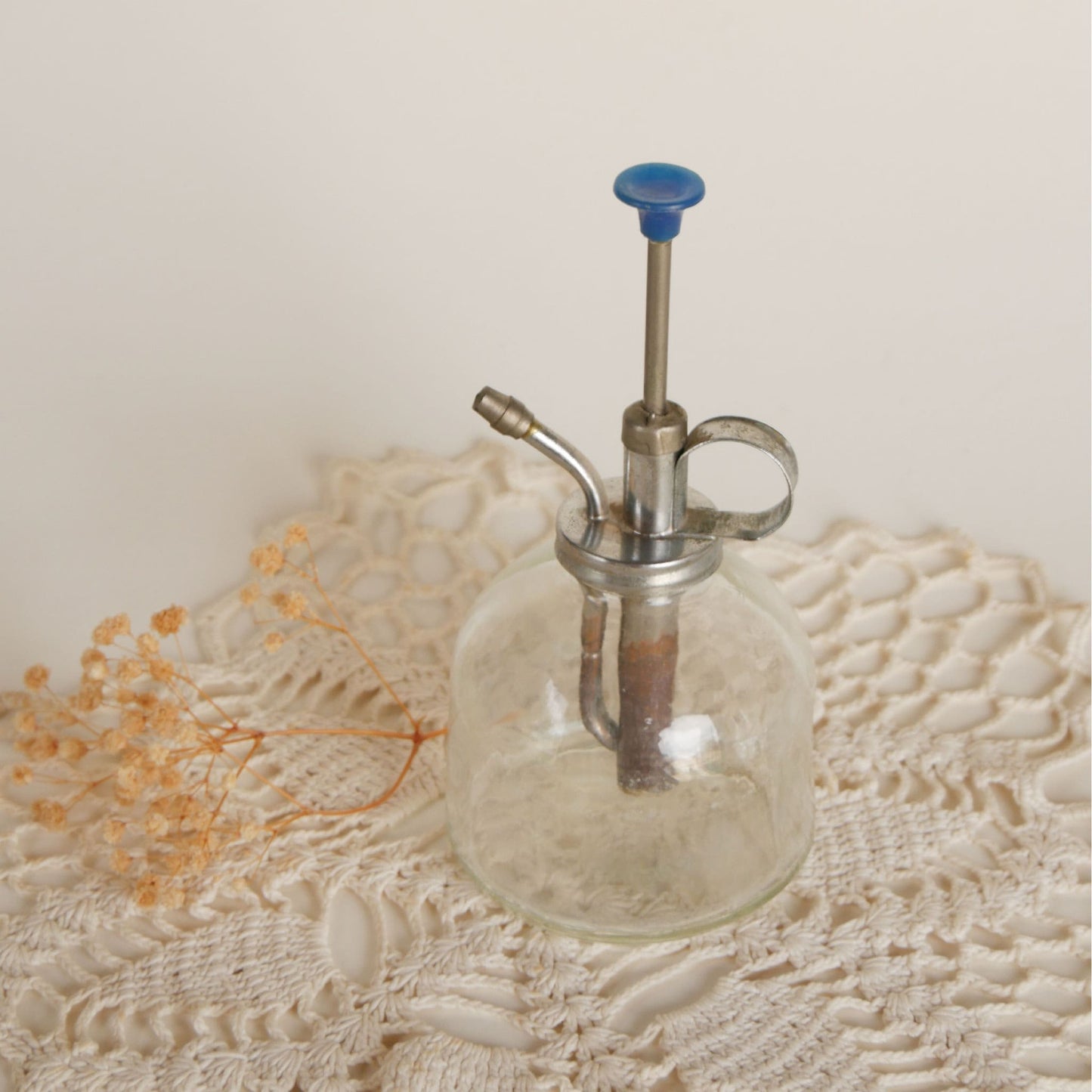 Vintage Clear Glass Plant Mister, Glass Plant Sprayer, Vintage Sprayer, Vintage Apothecary Decor