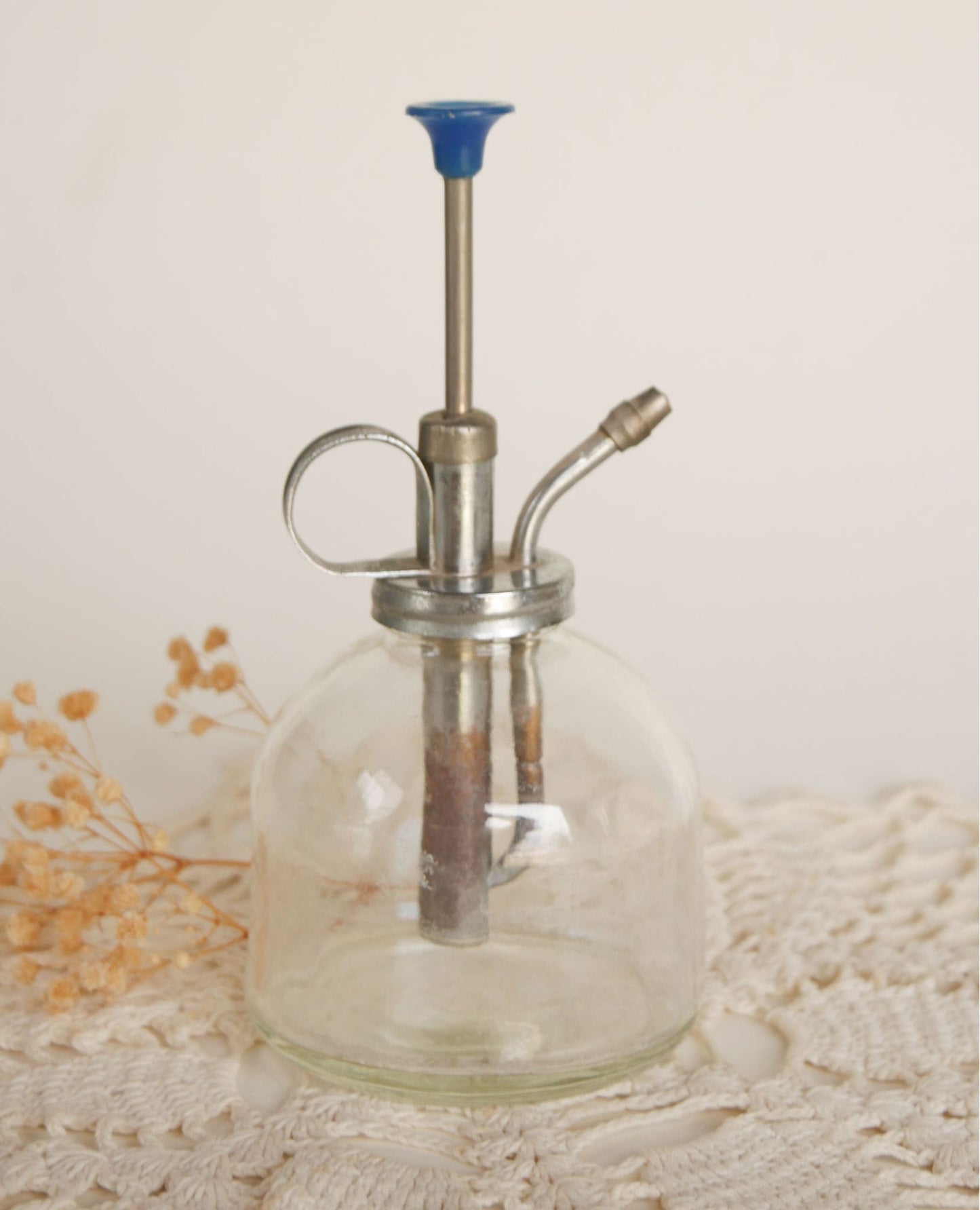 Vintage Clear Glass Plant Mister, Glass Plant Sprayer, Vintage Sprayer, Vintage Apothecary Decor