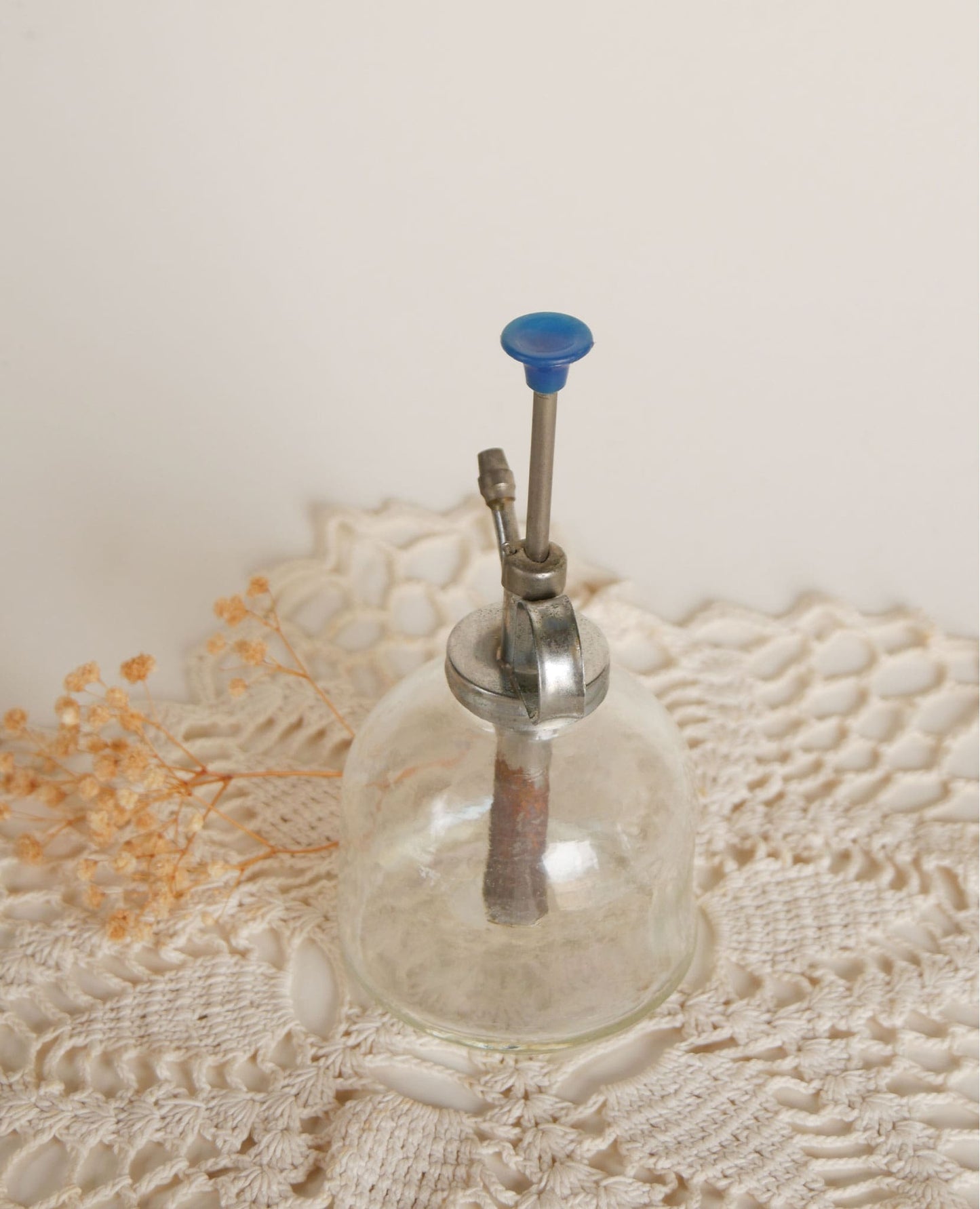 Vintage Clear Glass Plant Mister, Glass Plant Sprayer, Vintage Sprayer, Vintage Apothecary Decor