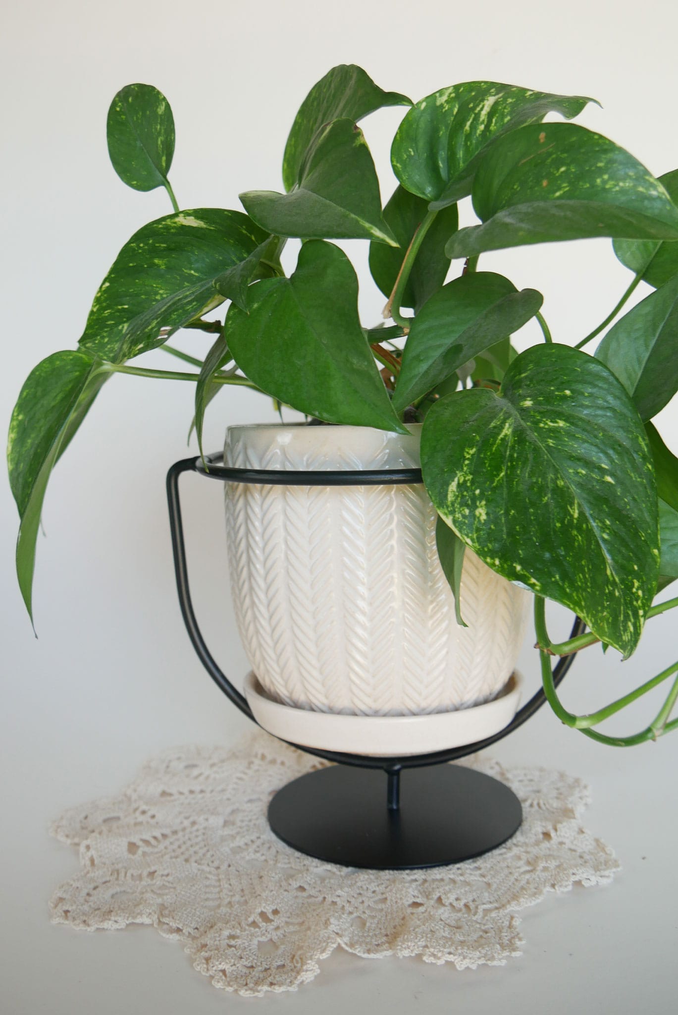 Matte Black Round Metal Plant Stand