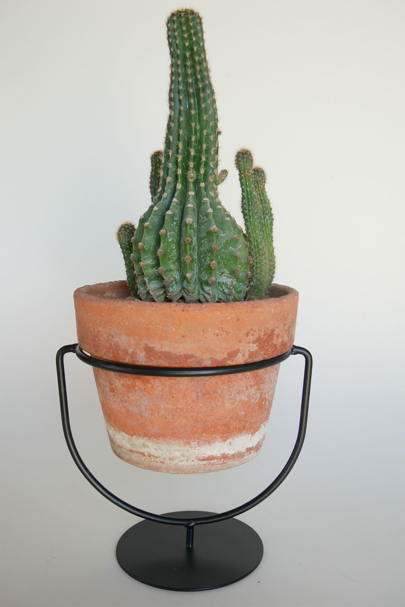 Matte Black Round Metal Plant Stand