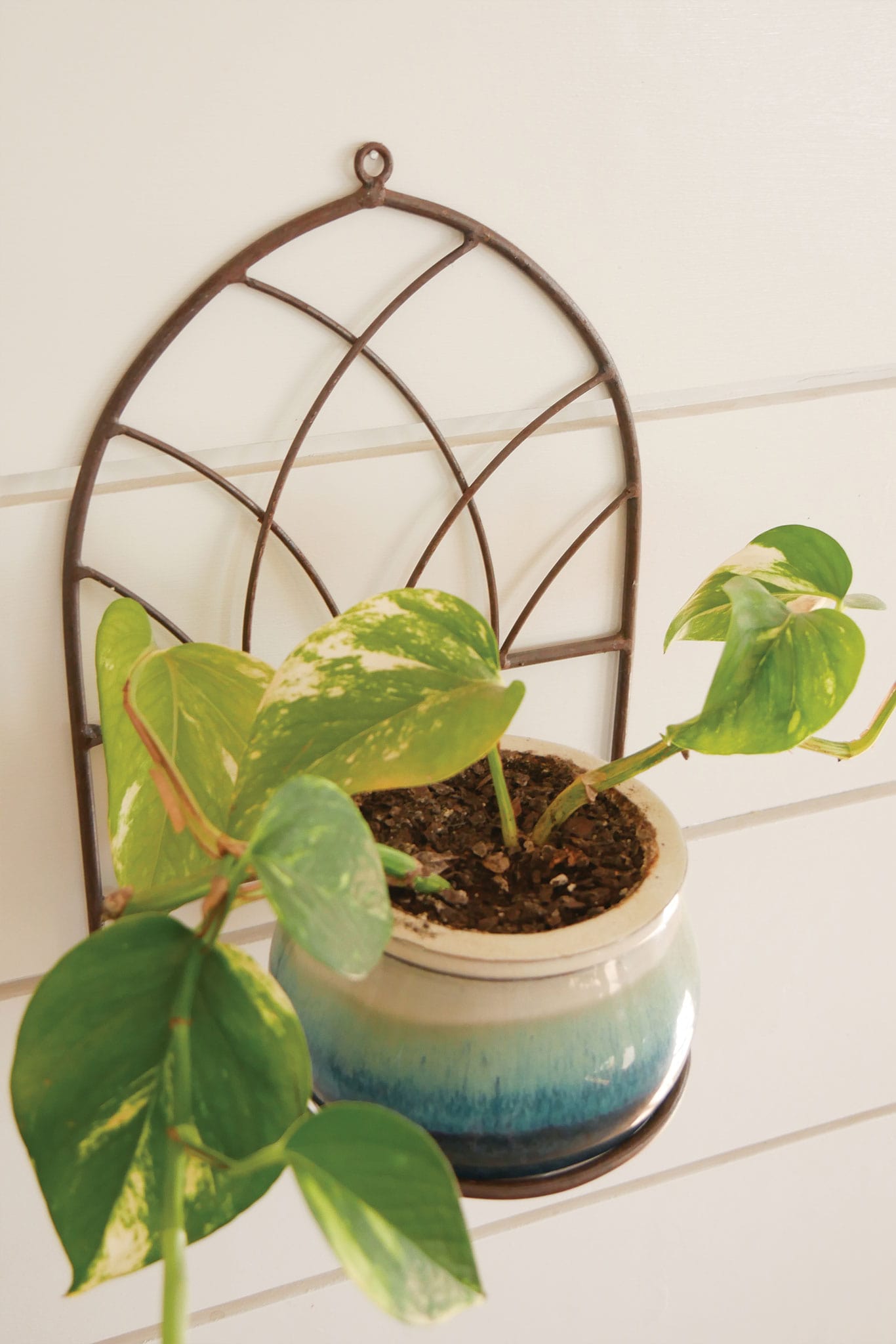 Metal Arch Shaped Wall Sconce, Arch Metal Plant Holder Wall Sconce, Plant Wall Decor, Farmhouse Metal Wall Sconce