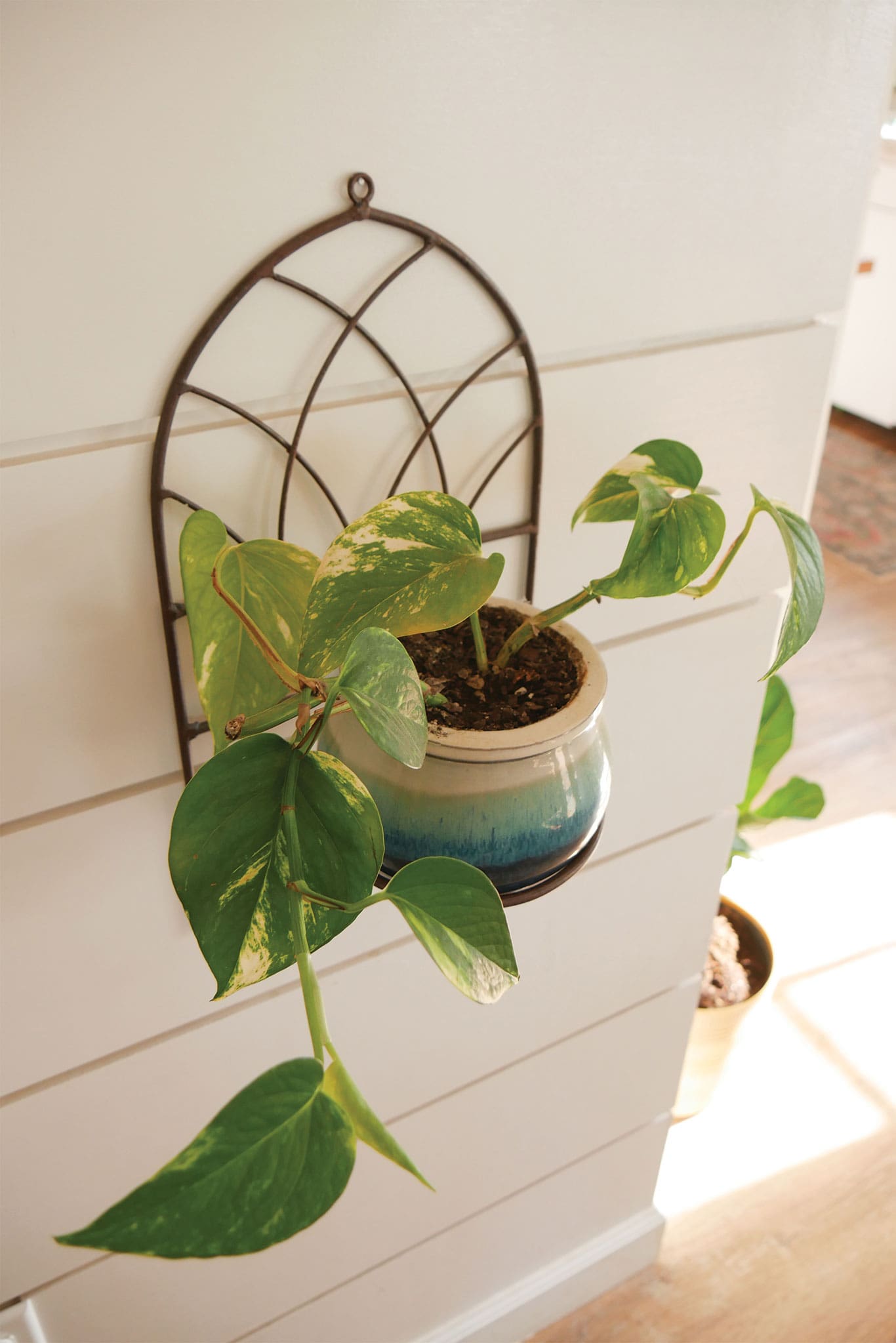 Metal Arch Shaped Wall Sconce, Arch Metal Plant Holder Wall Sconce, Plant Wall Decor, Farmhouse Metal Wall Sconce