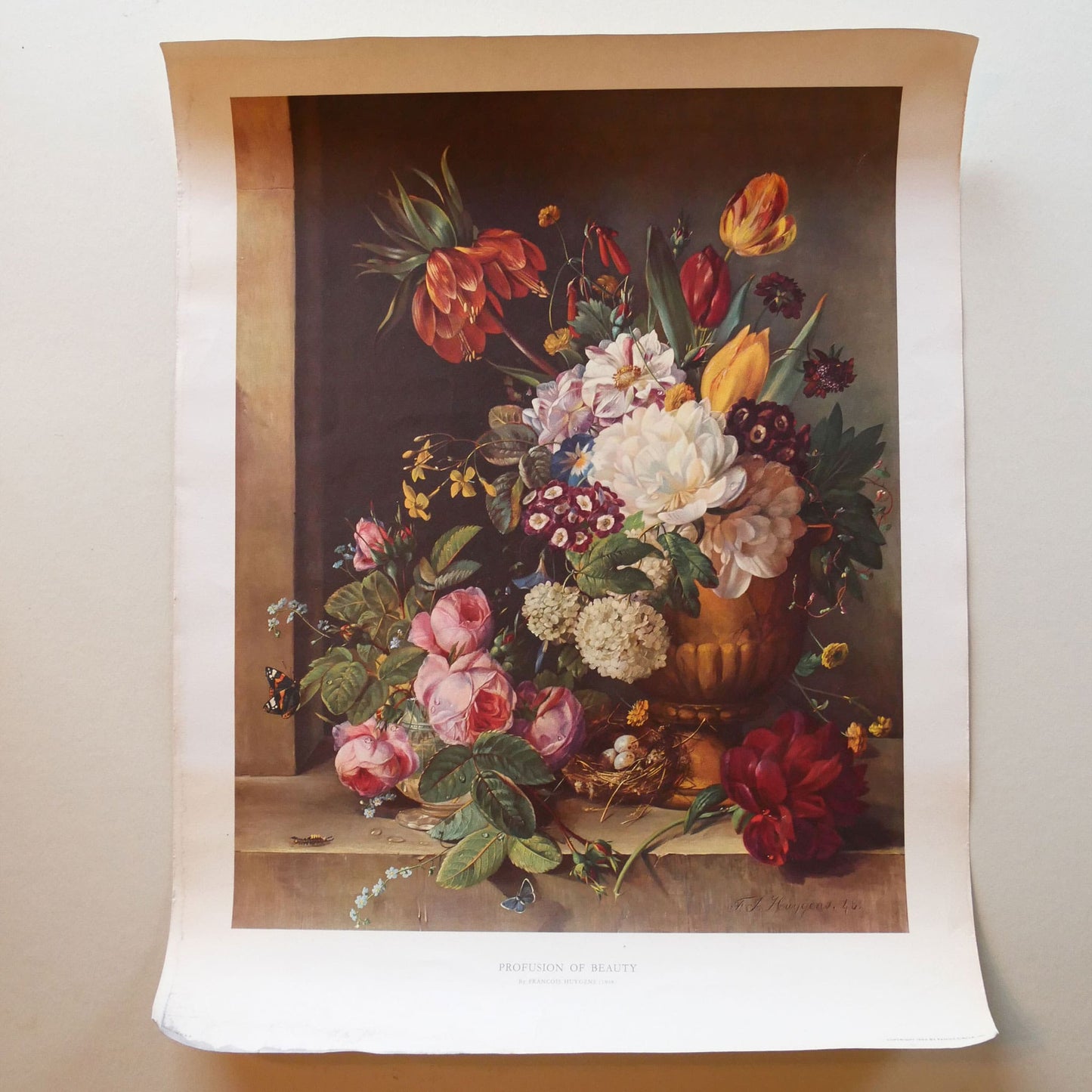 Large 'Profusion of Beauty' by Francois Huygens Floral Arrangement Print (Unframed)