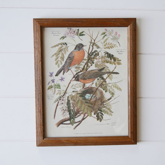 Vintage Framed 1950s Arthur Singer No.5 of Series Print, Pair of Robins with Nest Vintage Bird Prints Vintage Botantical Prints