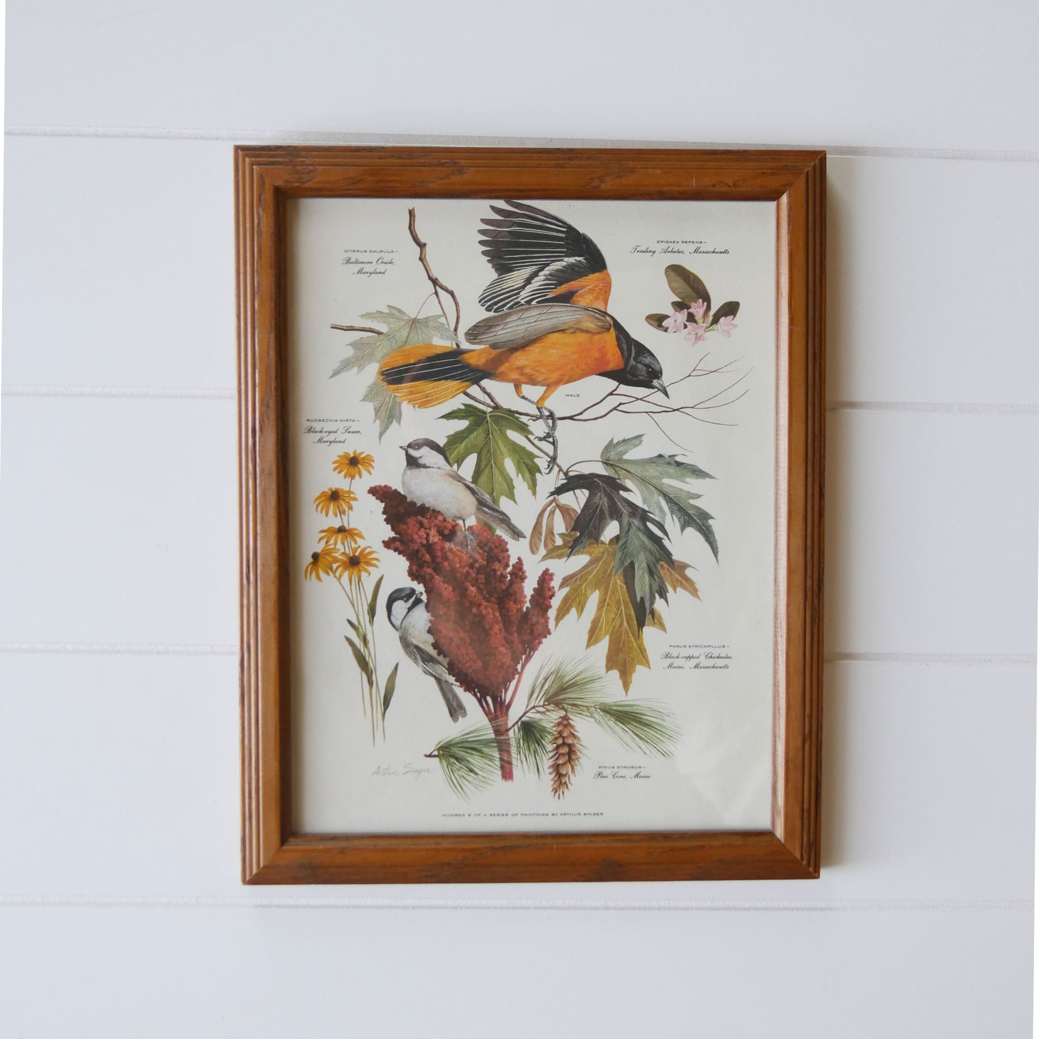 Vintage Framed Arthur Singer No.6 of Series Print, Common