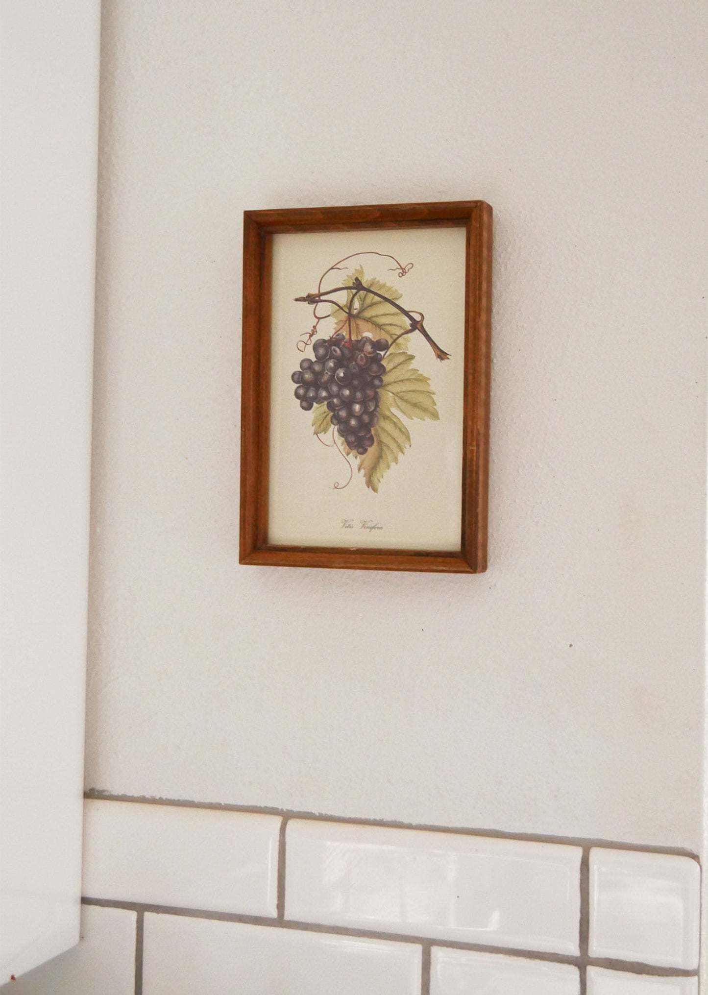 Vintage Framed Purple Grapes Print, Vintage Kitchen Decor, Vintage Fruit Artwork, Vintage Fruit Print, Vintage Kitchen Fruit Wall Decor, Vintage Kitchen Wall Decor