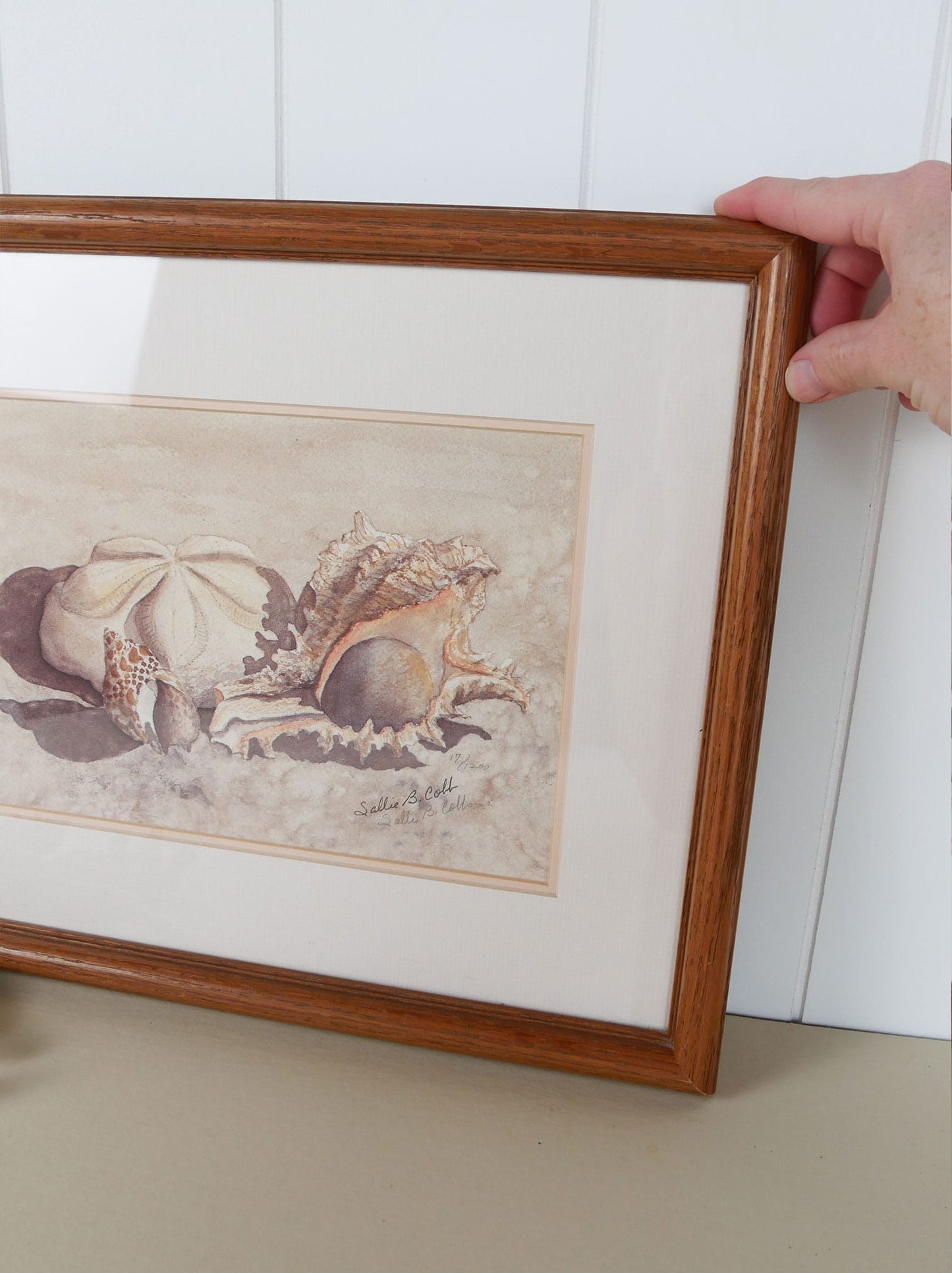 Vintage Framed Sea Shells on the Beach Print, Signed Sallie B Cobb, Vintage Nautical Decor, Nautical Wall Decor, Coastal Wall Decor