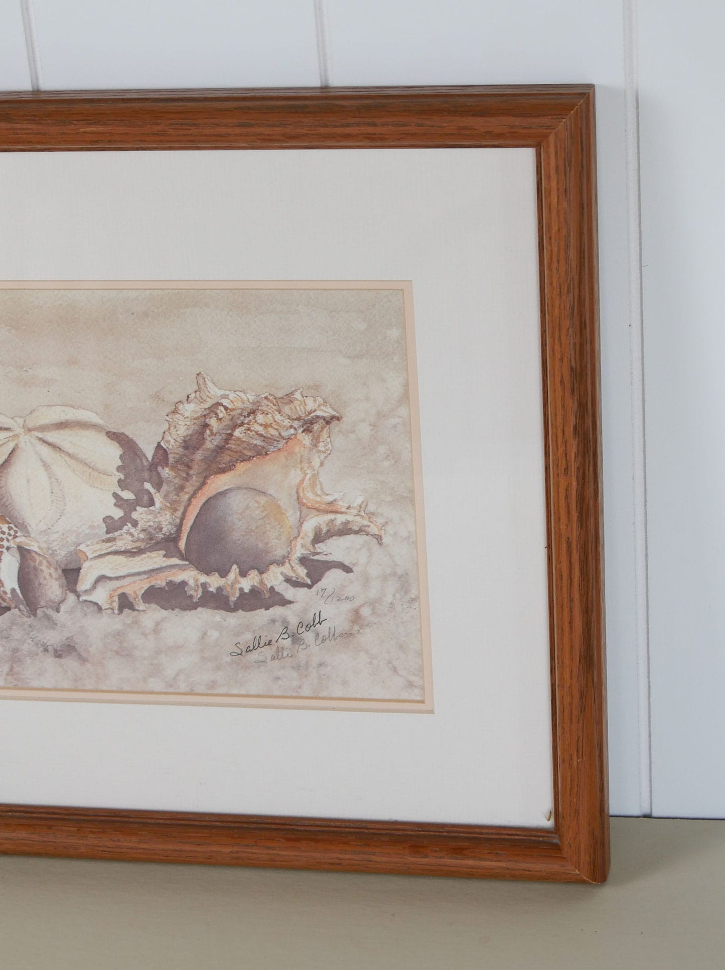 Vintage Framed Sea Shells on the Beach Print, Signed Sallie B Cobb, Vintage Nautical Decor, Nautical Wall Decor, Coastal Wall Decor