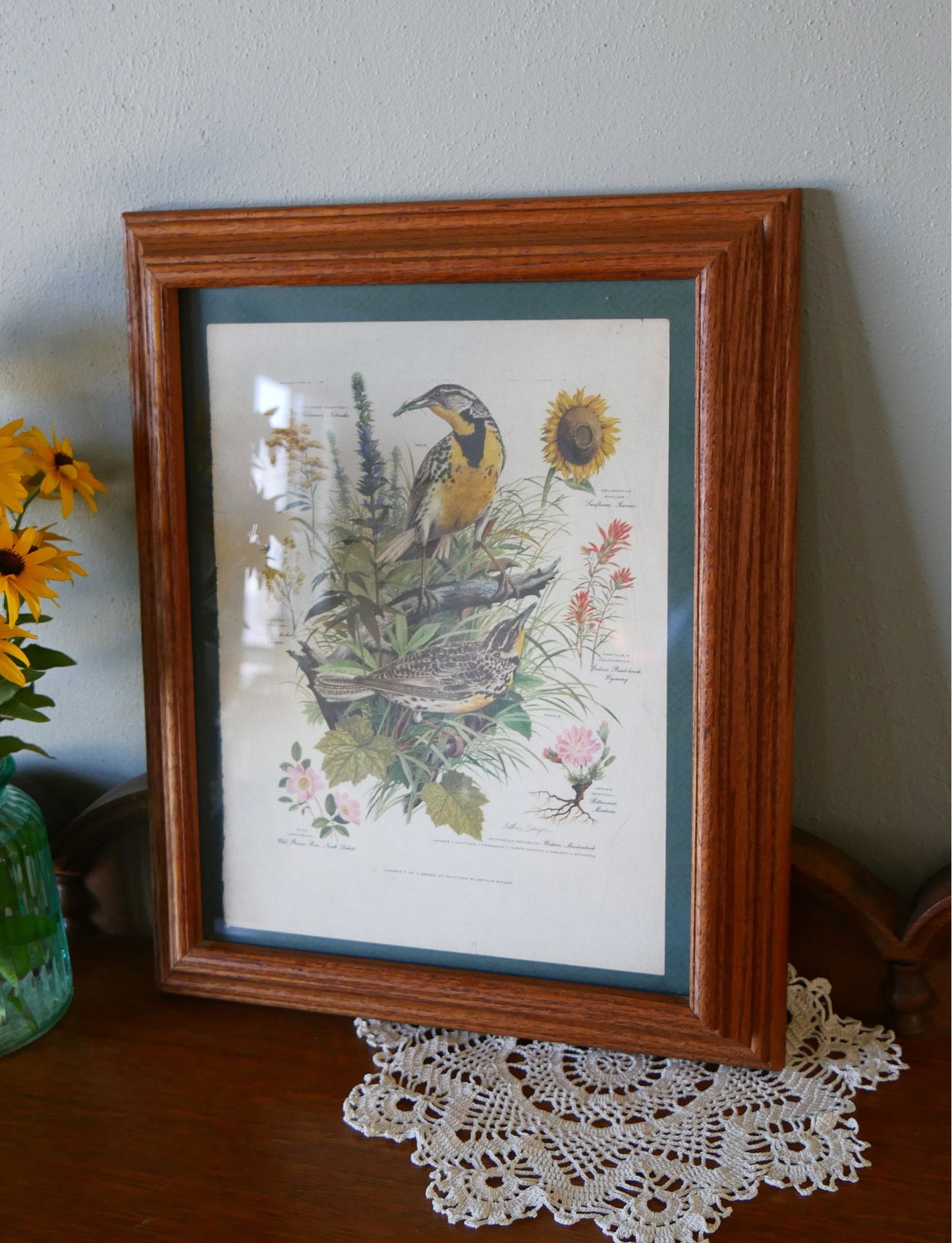 Vintage Oak Framed Arthur Singer No.7 of Series Western Meadowlark Print, 14x17 Vintage Botanical Prints Vintage Bird Prints Vintage Botanical Artwork Vintage Bird Artwork
