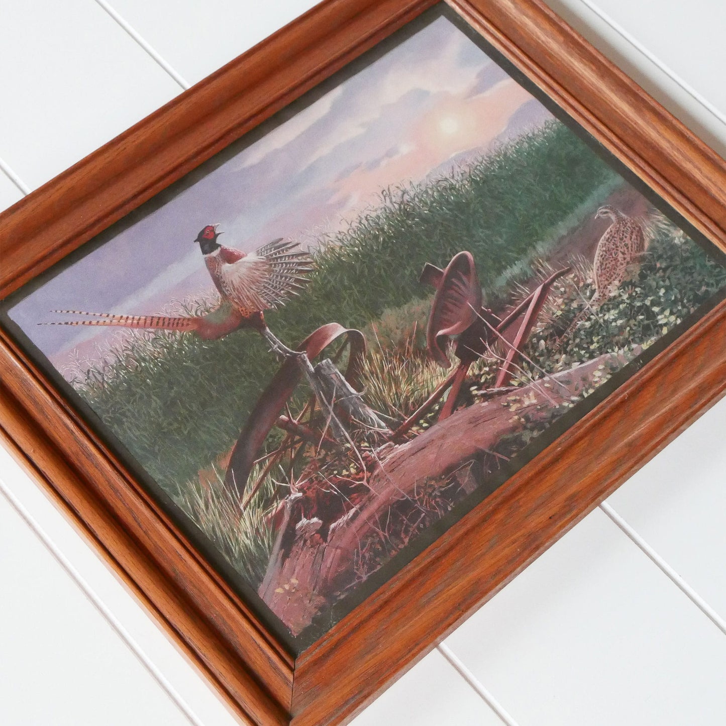 Vintage Oak Framed Pheasant Print, Vintage Pheasant Decor, Vintage Pheasant Artwork, Vintage Pheasant Wall Decor, Vintage Waterfowl Decor, Vintage Bird Artwork, Vintage Wall Decor