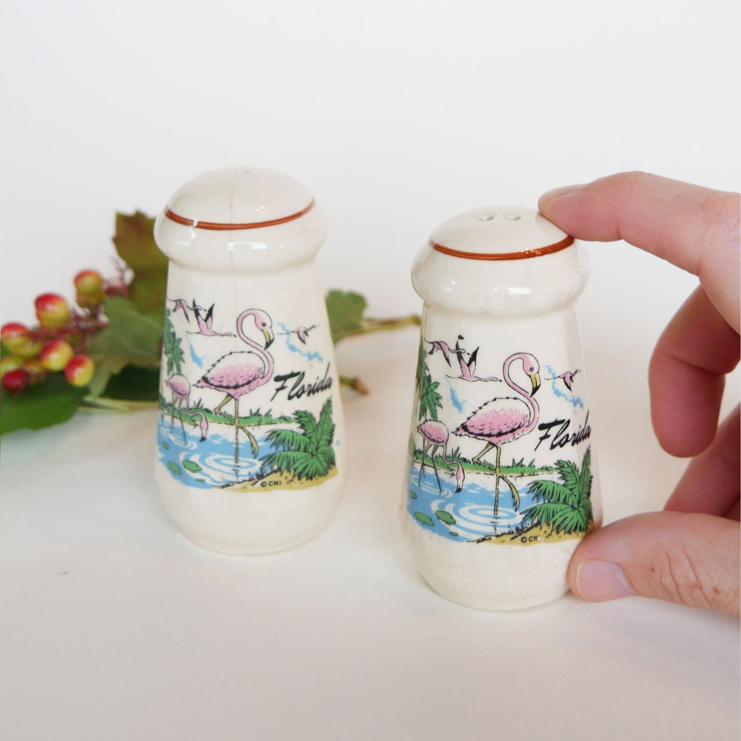 Vintage Retro Florida Flamingo Salt and Pepper Shakers Retro Florida Salt Pepper Shakers