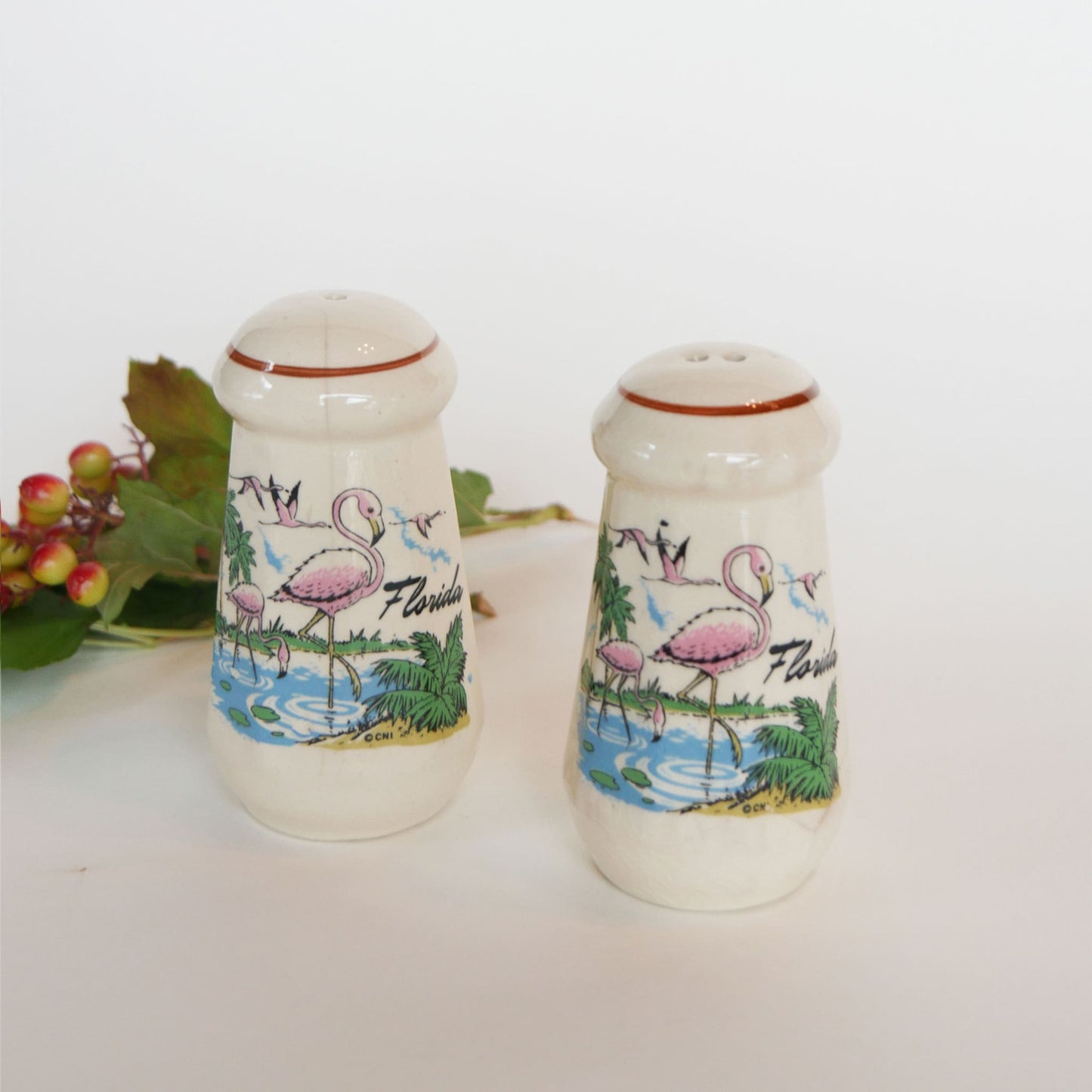 Vintage Retro Florida Flamingo Salt and Pepper Shakers Retro Florida Salt Pepper Shakers