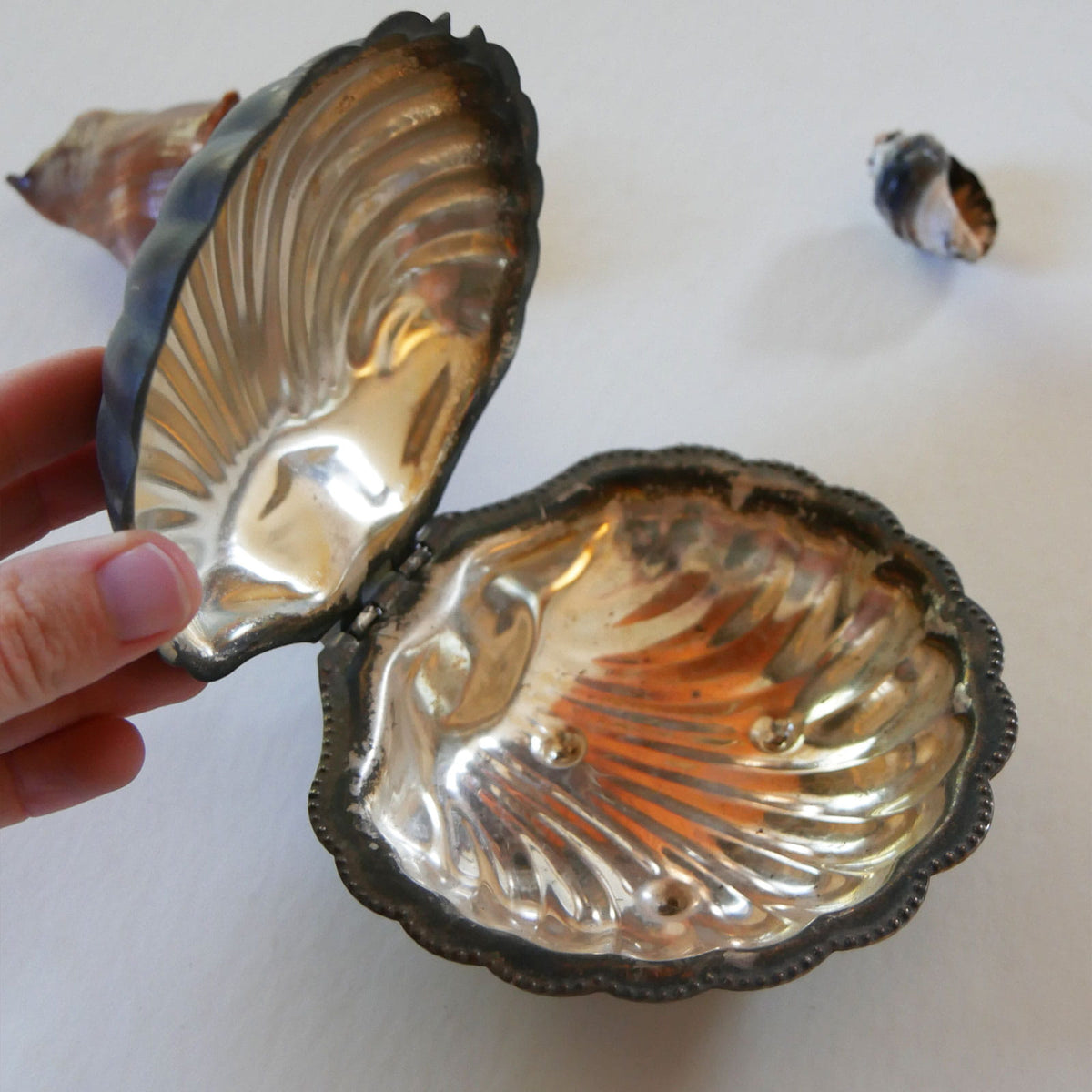 Antique Silver-Plated Clam Sheel Soap Dish, Vintage Clam Shell Dish, Vintage Silver Clam Shell Dish, Antique Soap Dish, Antique Shell Soap Dish, Vintage Nautical Decor, Antique Nautical Decor