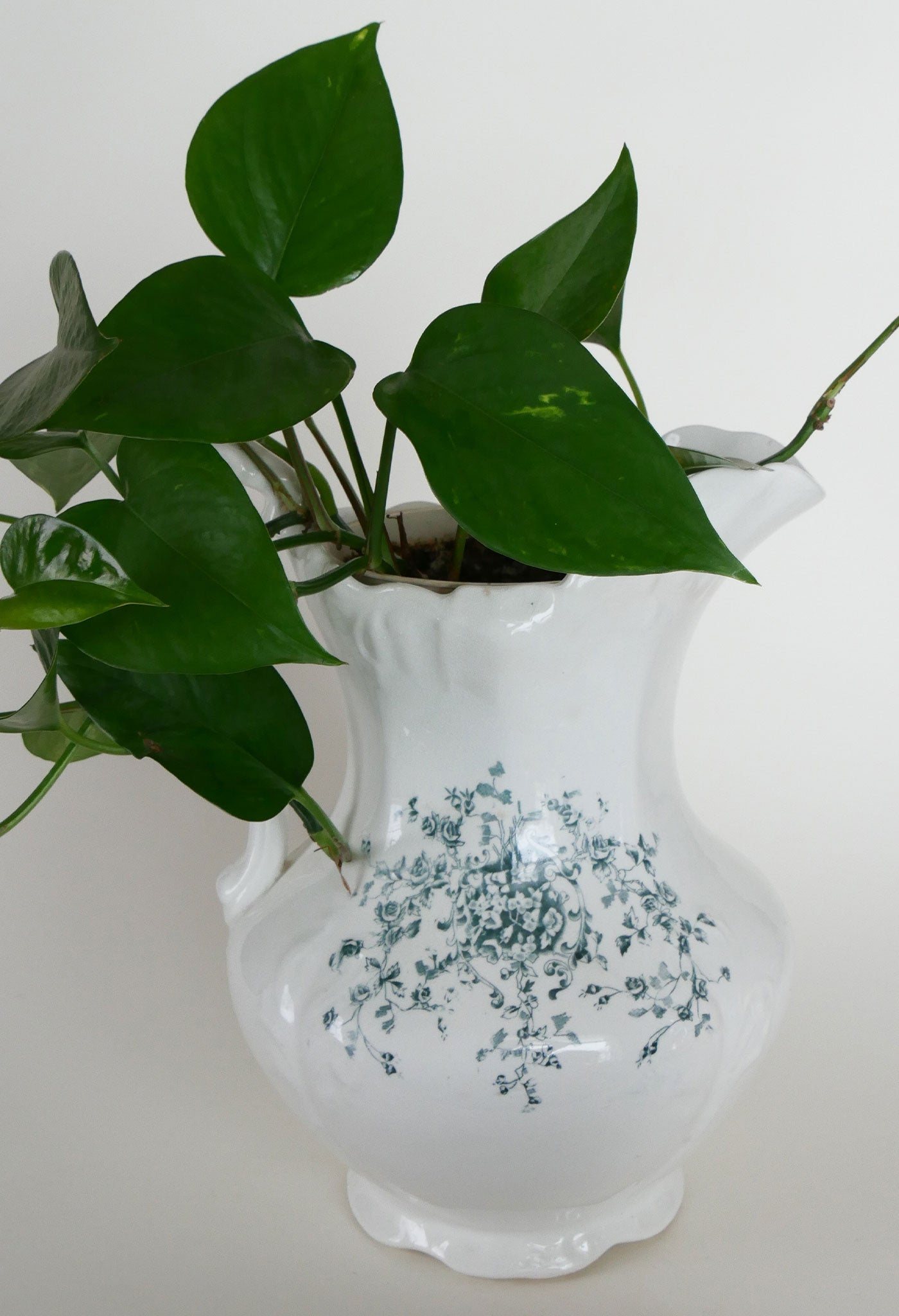 Antique Wheeling Pottery Co. 12in Pitcher with Teal Floral Design, Antique Ironstone Pitcher, Vintage Home Decor