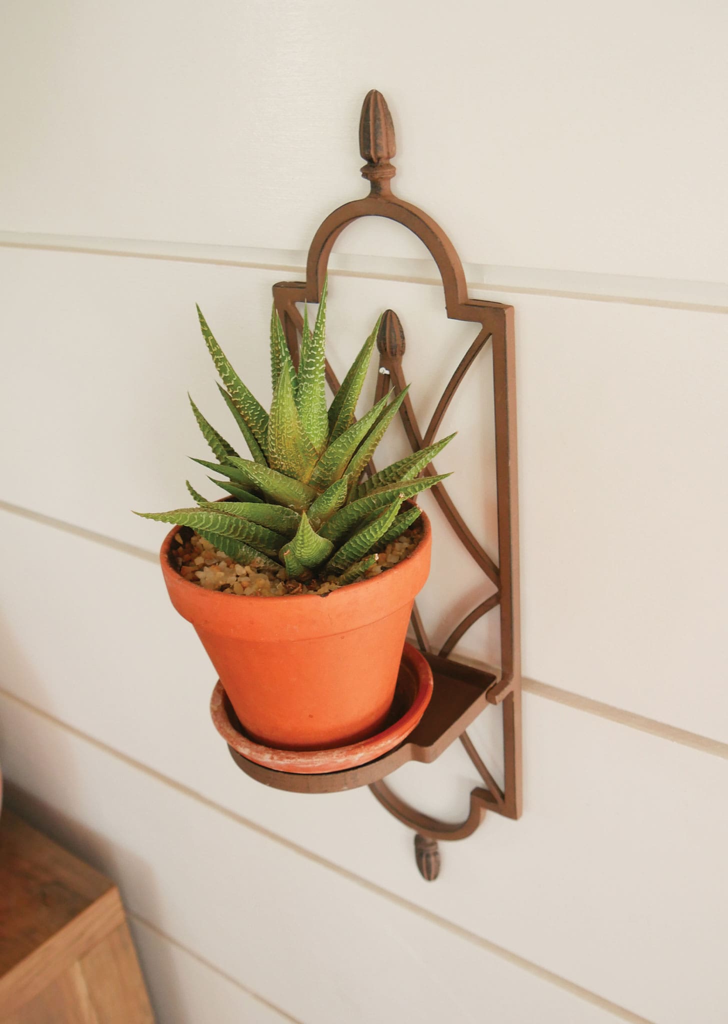 Brown Metal Wall Sconce, Metal Plant Holder Wall Sconce, Brown Metal Votive Candle Wall Sconce, Metal Wall Decor