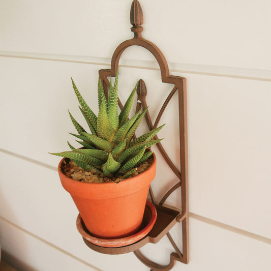 Brown Metal Wall Sconce, Metal Plant Holder Wall Sconce, Brown Metal Votive Candle Wall Sconce, Metal Wall Decor