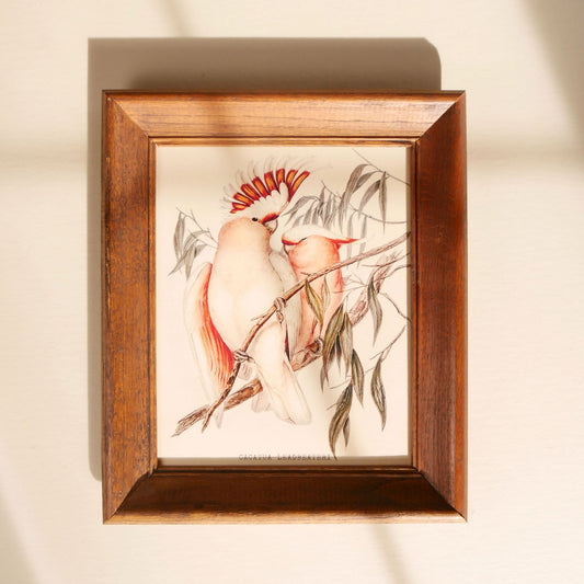 Vintage-Inspired Pink Cockatoo Framed Print