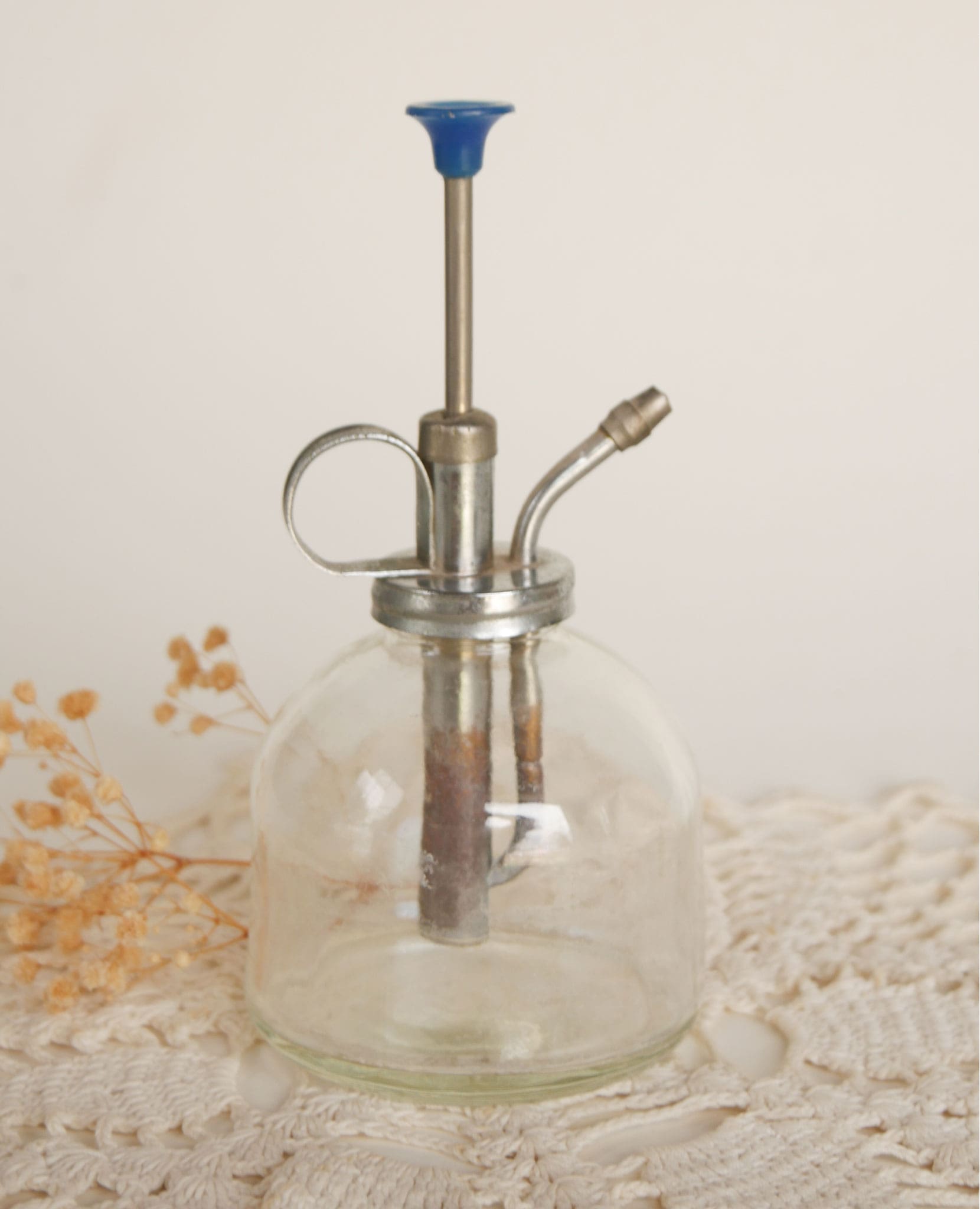Vintage Clear Glass Plant Mister, Glass Plant Sprayer, Vintage Sprayer, Vintage Apothecary Decor