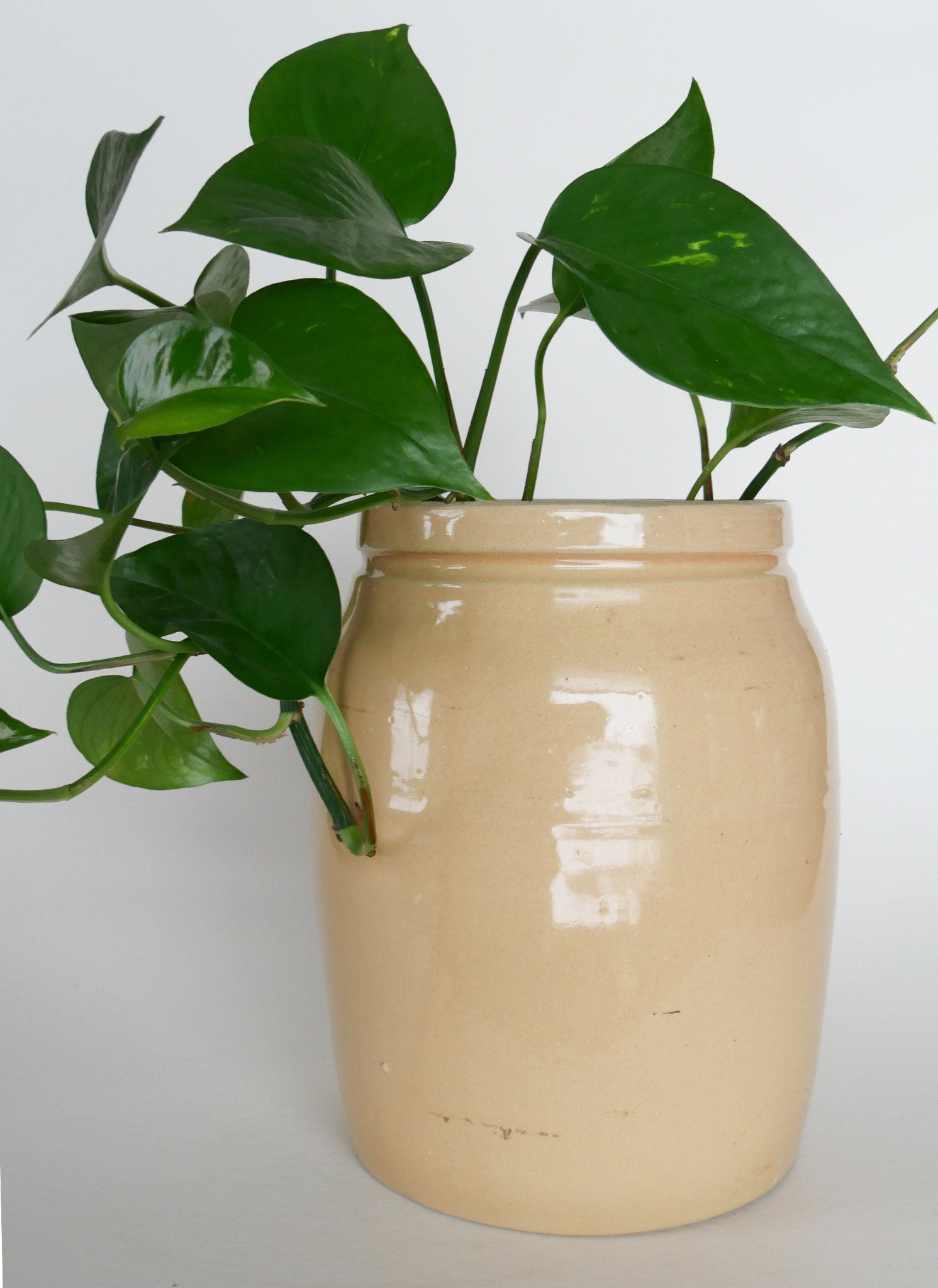 Vintage Tan Stoneware Crock, Farmhouse Stoneware, Vintage Stoneware Crock, Vintage Farmhouse Kitchen Crock, Vintage Home Decor