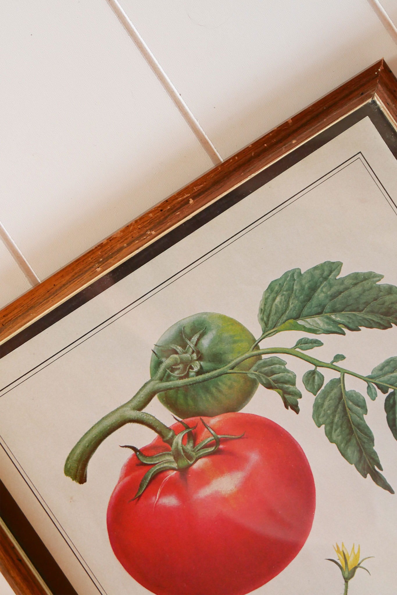 Vintage Tomato & Pea Botanical Framed Print Set, Vintage Botanical Plant Prints, Vintage Farmhouse Prints, Vintage Garden Plant Retro Prints, VIntage Farmhouse Wall DEcor, Vintage Botanical TOmato Plant Prints, Vintage Botanical Pea Plant Prints
