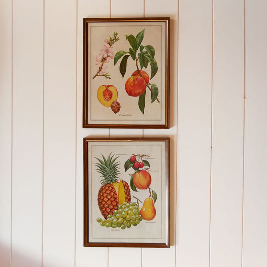 Pair of VIntage Tropical Fruit Framed Prints, VIntage Botanical Prints, Vintage Tropical Prints, Vintage Tropical Wall Decor, Vintage Pinnapple Prints, VIntage Peach Prints