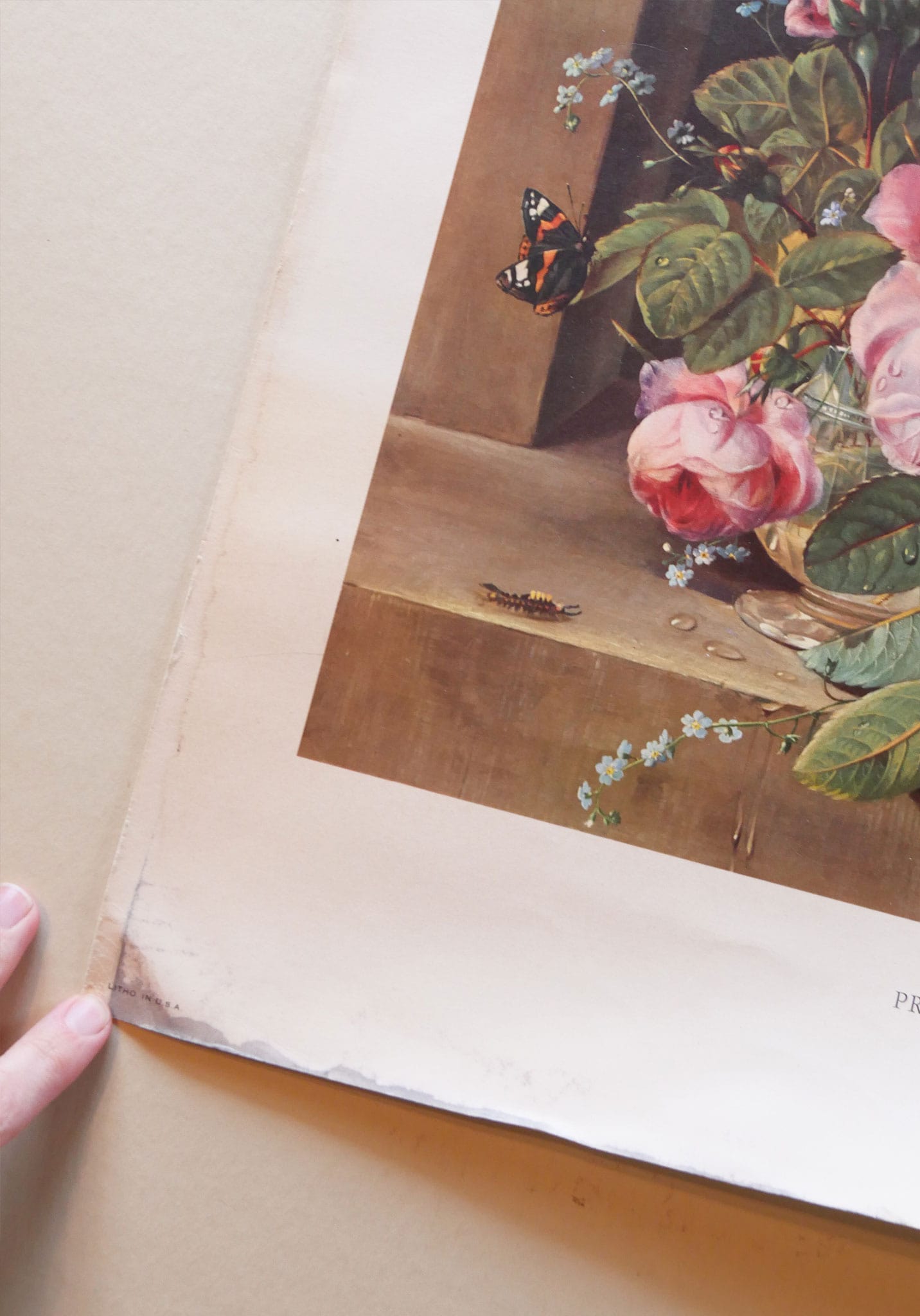 Large 'Profusion of Beauty' by Francois Huygens Floral Arrangement Print (Unframed)