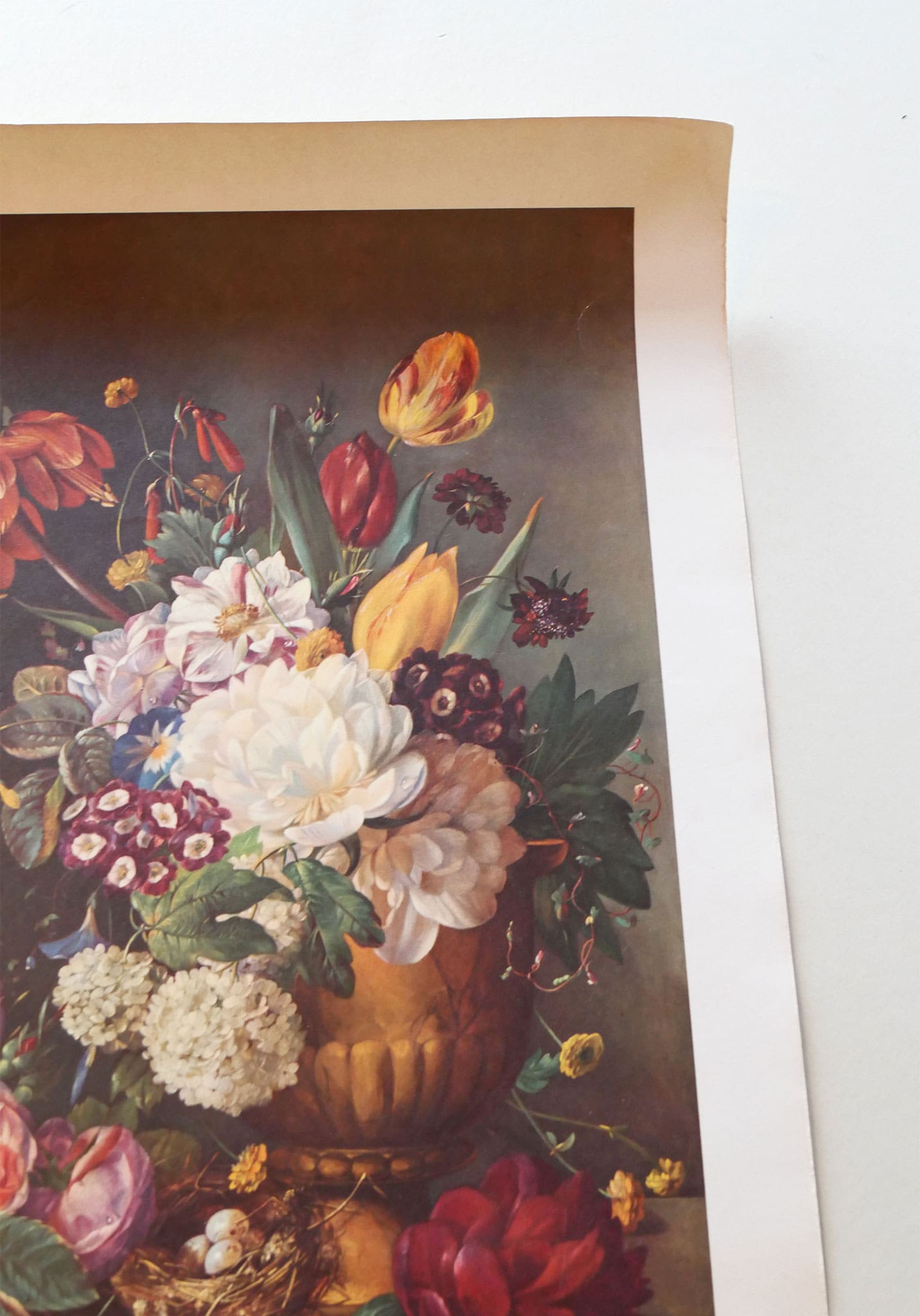 Large 'Profusion of Beauty' by Francois Huygens Floral Arrangement Print (Unframed)
