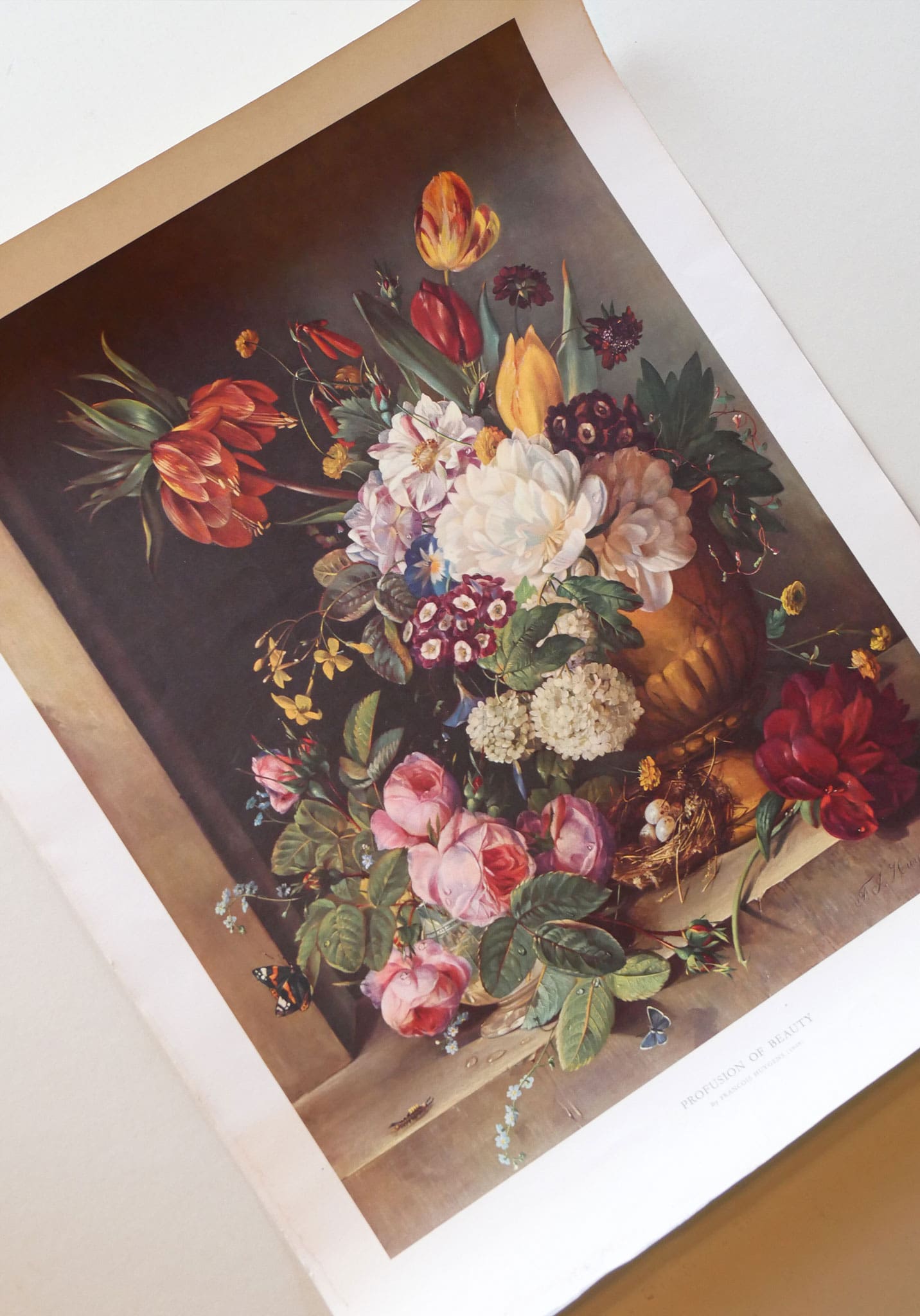 Large 'Profusion of Beauty' by Francois Huygens Floral Arrangement Print (Unframed)