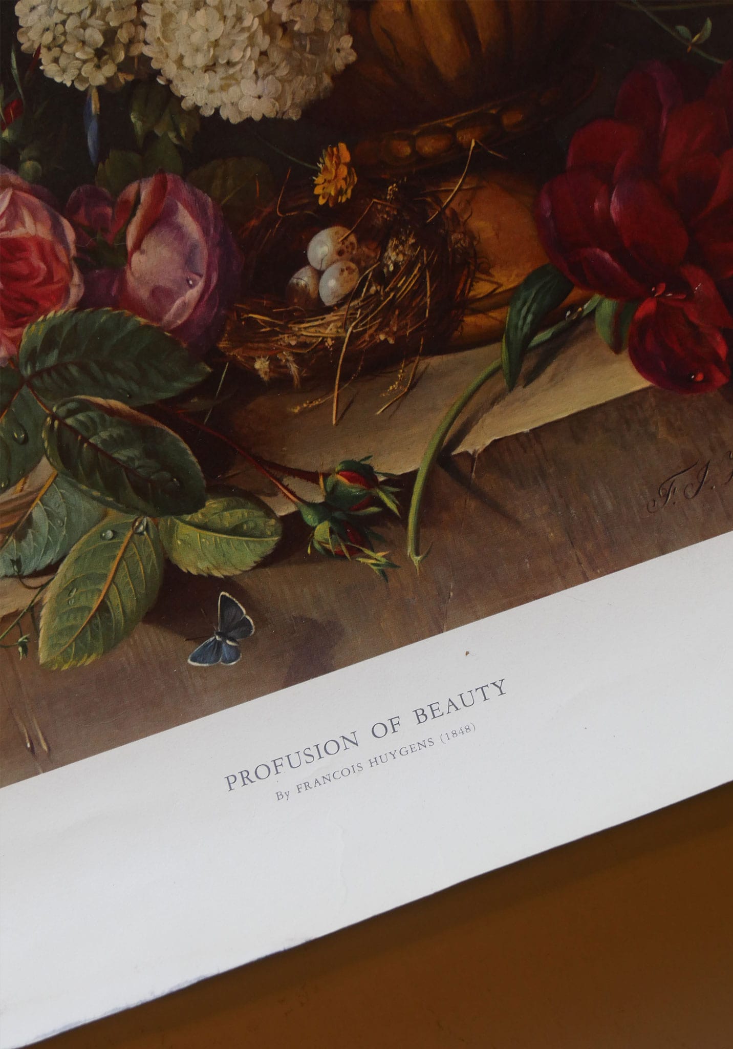 Large 'Profusion of Beauty' by Francois Huygens Floral Arrangement Print (Unframed)