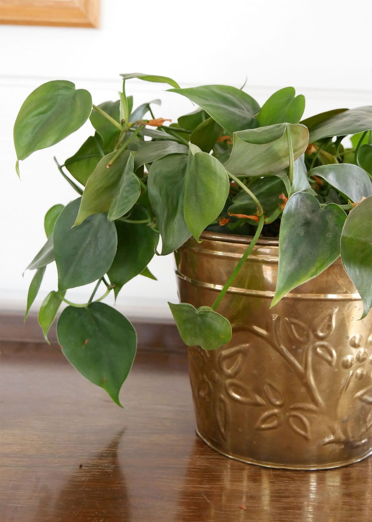 Small Vintage Brass Planter, Floral Brass Planter, Vintage Brass Planter, Vintage Round Brass Planter, VIntage Brass Decor