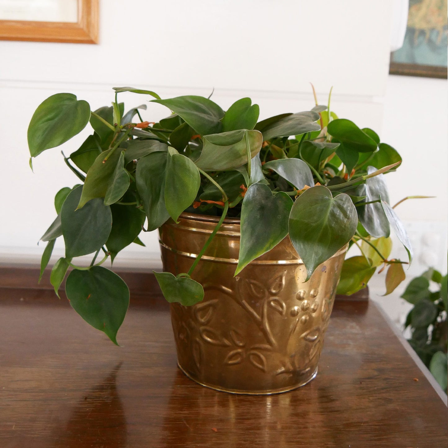 Small Vintage Brass Planter, Floral Brass Planter, Vintage Brass Planter, Vintage Round Brass Planter, VIntage Brass Decor