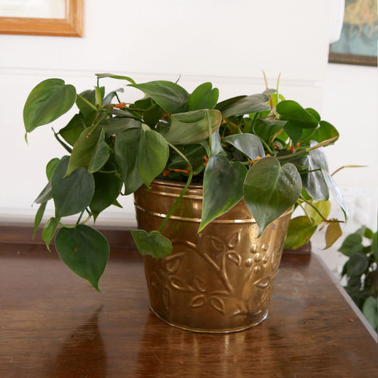 Small Vintage Brass Planter, Floral Brass Planter, Vintage Brass Planter, Vintage Round Brass Planter, VIntage Brass Decor