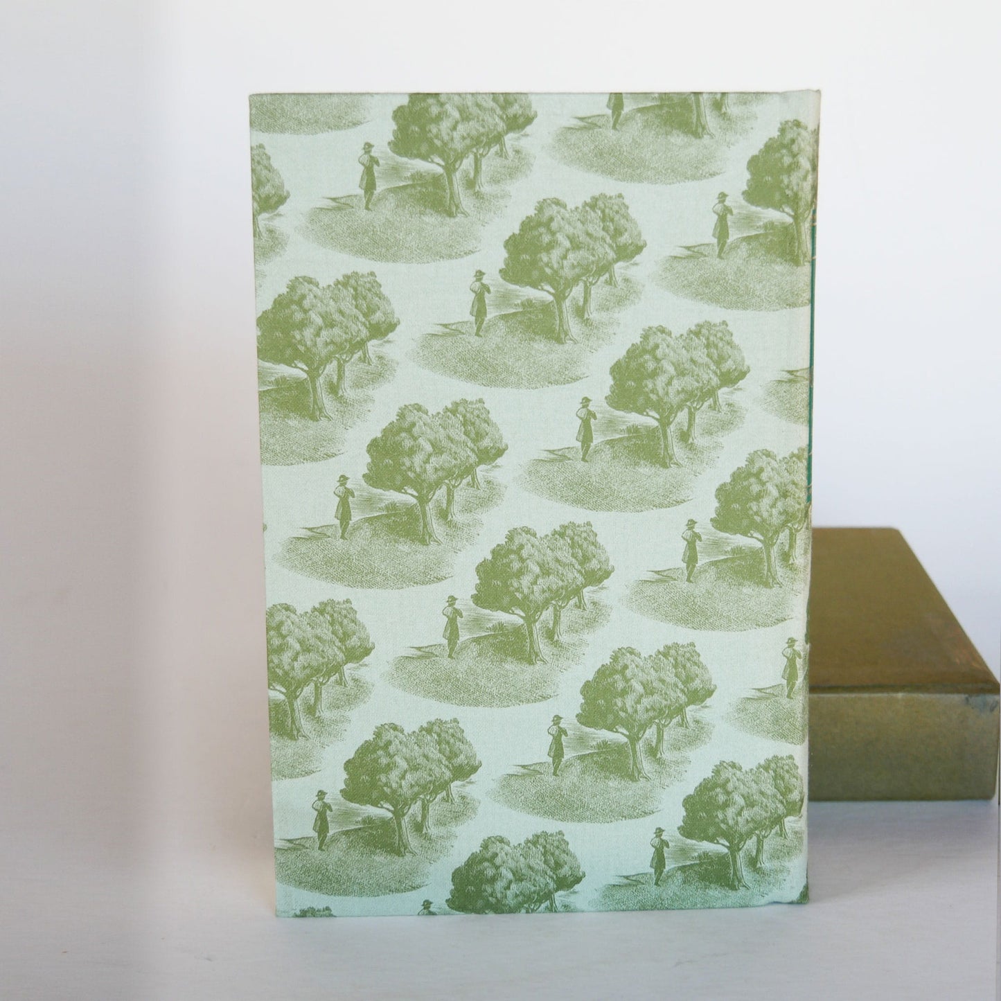 1969 Jude The Obscure by Thomas Hardy with Case, Green Coffee Table BOok, Vintage Books, Vintage Green Books, Vintage Home DEcor