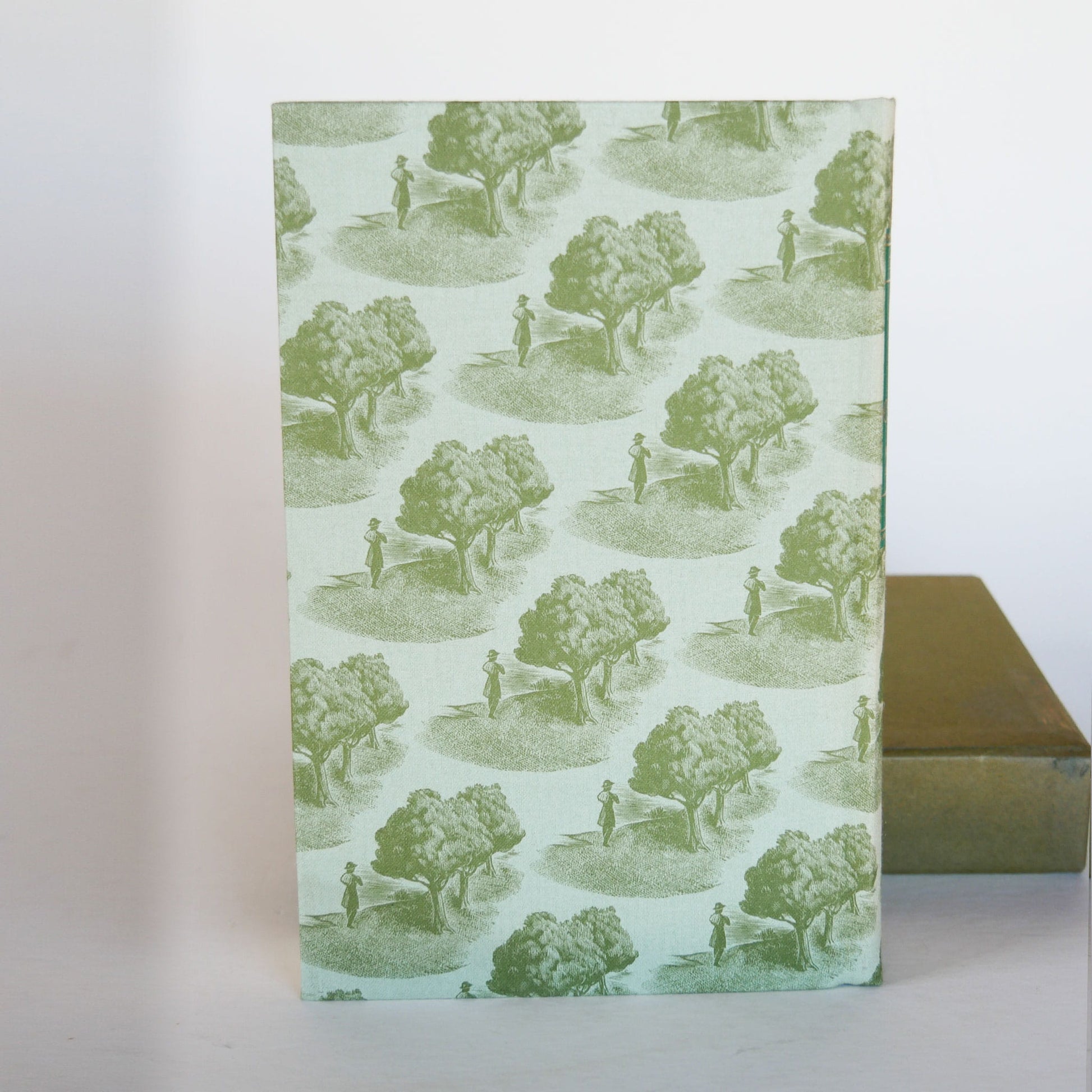 1969 Jude The Obscure by Thomas Hardy with Case, Green Coffee Table BOok, Vintage Books, Vintage Green Books, Vintage Home DEcor