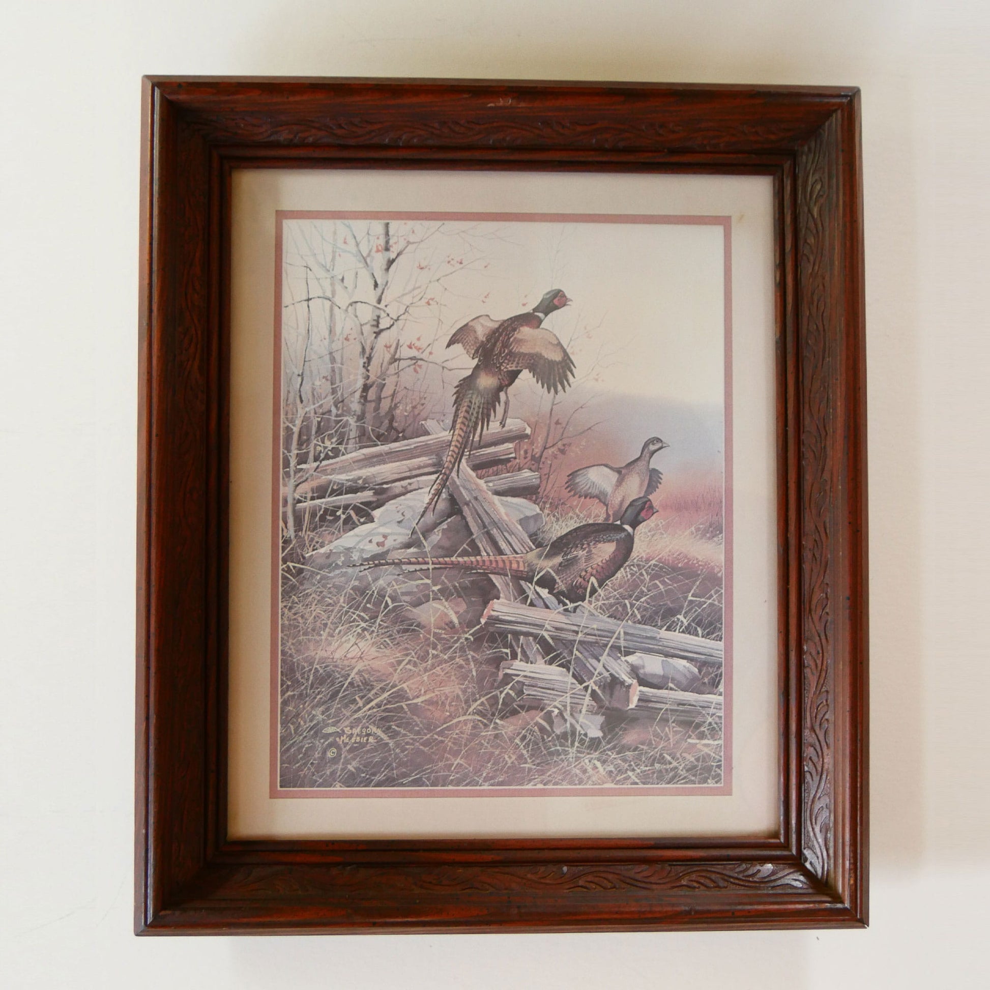 Vintage Framed Pheasant Print, Vintage Waterfowl Print, Vintage Bird Print, Vintage Pheasant Artwork, Vintage Pheasant Print