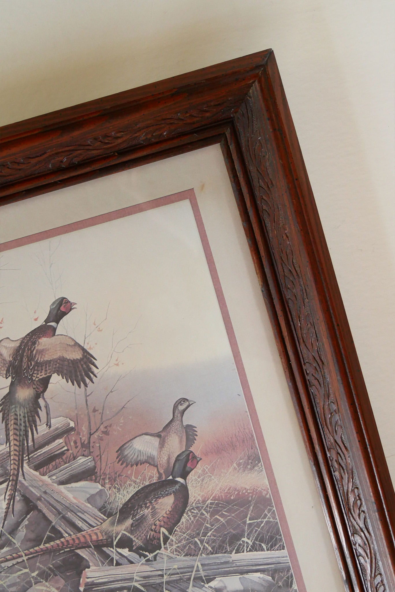 Vintage Framed Pheasant Print, Vintage Waterfowl Print, Vintage Bird Print, Vintage Pheasant Artwork, Vintage Pheasant Print