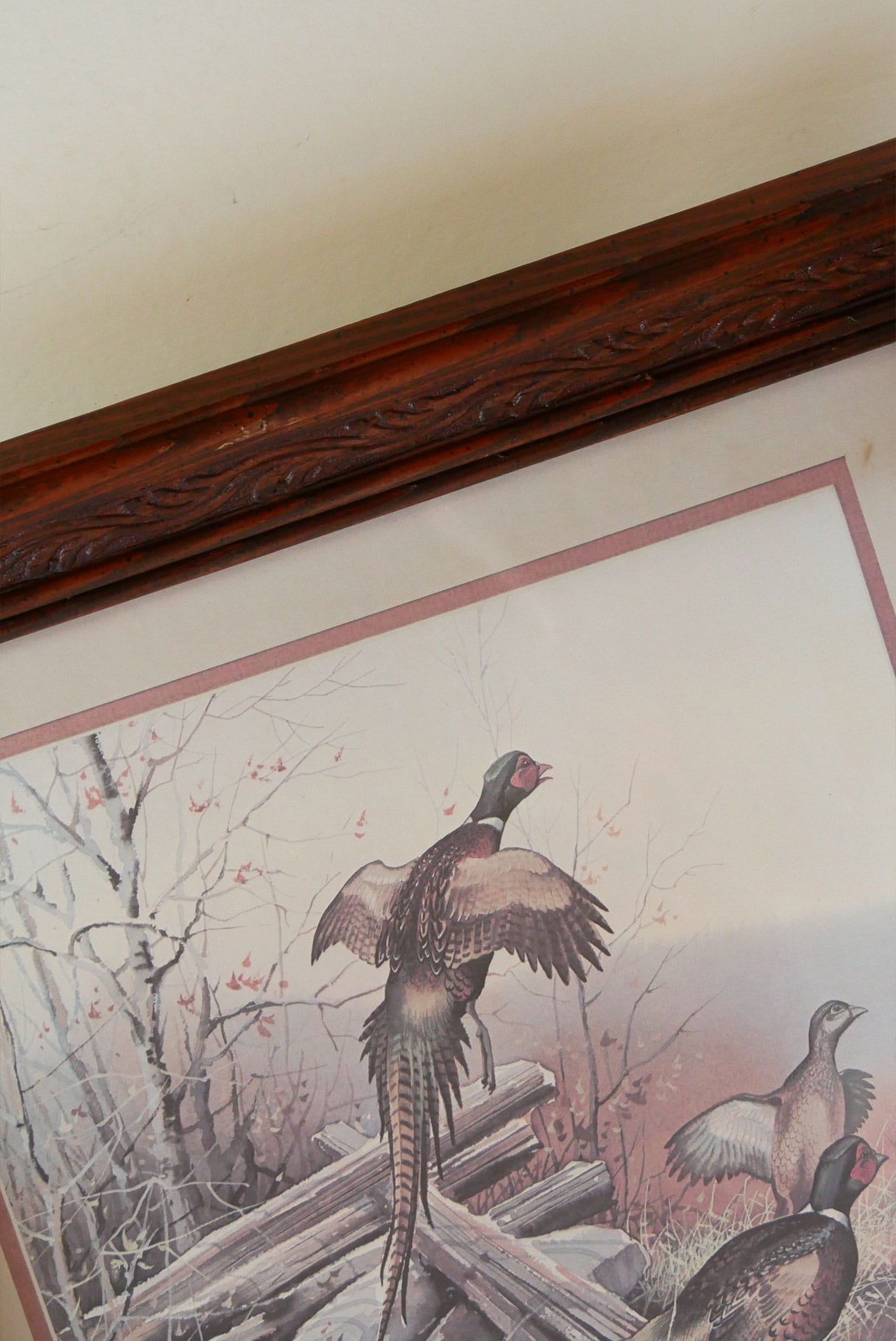 Vintage Framed Pheasant Print, Vintage Waterfowl Print, Vintage Bird Print, Vintage Pheasant Artwork, Vintage Pheasant Print