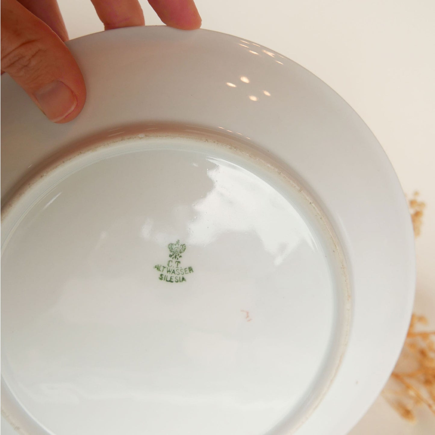 Vintage Pink Roses CT Altwasser Silsia 8in Plate, Vintage Floral Plate Wall