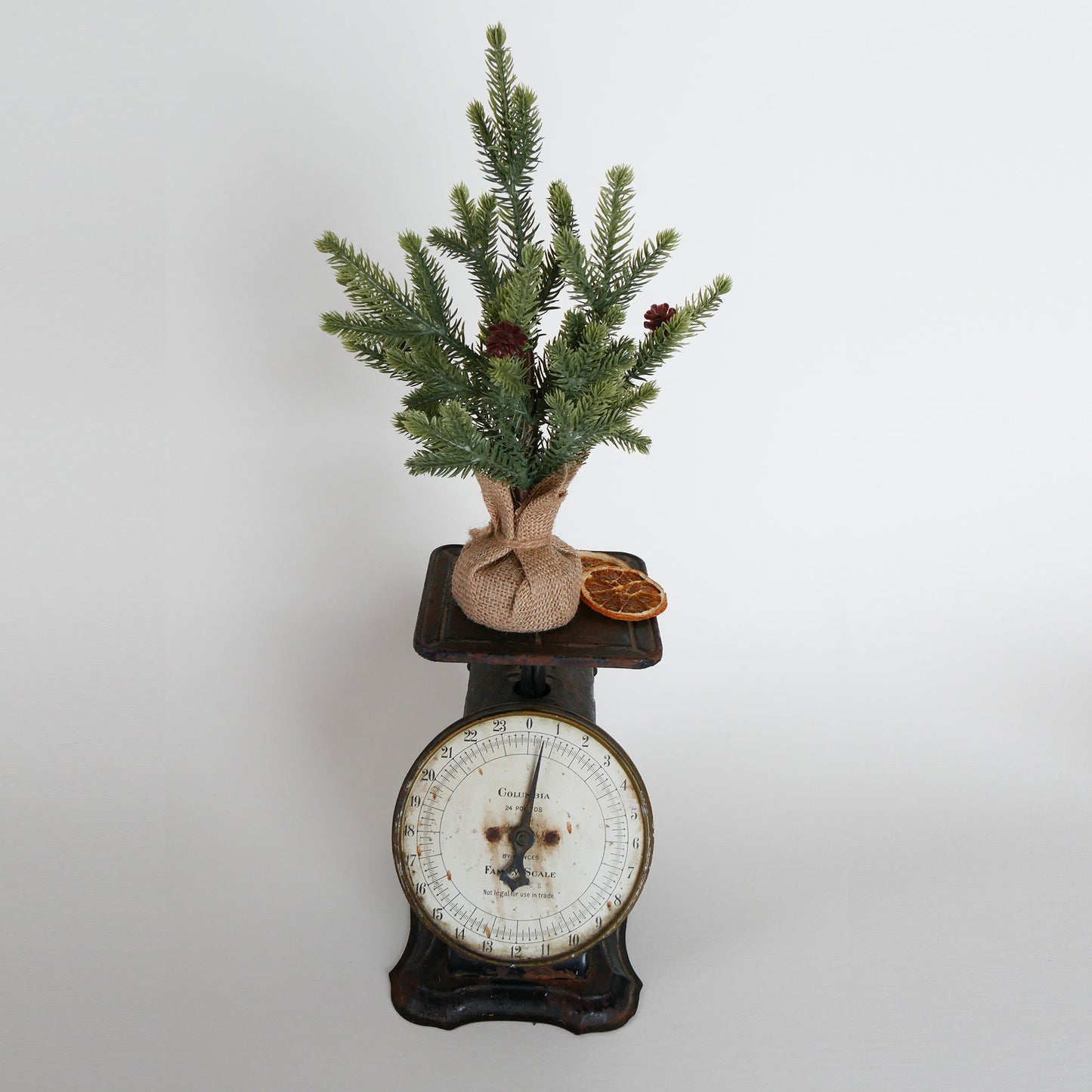 Antique Black Columbia Kitchen Scale, Antique Scale, Vintage Scale, Vintage Kitchen Decor, Vintage Home Decor