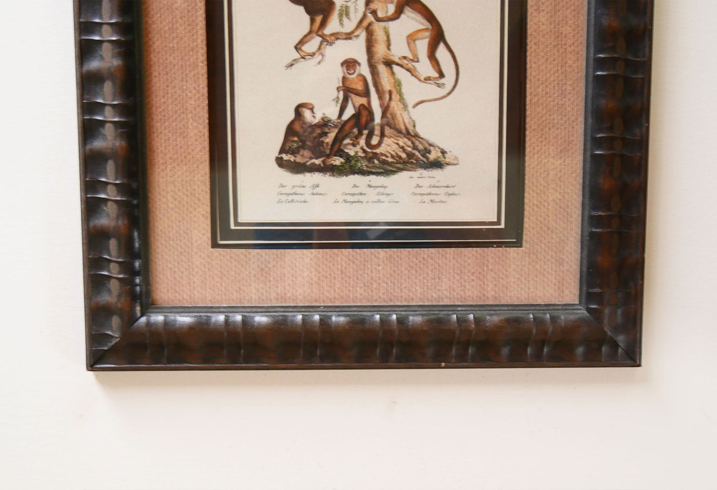 Vintage Framed Monkey Prints, Vintage Money Artwork, Vintage African Art, Monkey Drawing Prints, Monkey Lithograph, Vintage Zoo Art, Vintage Zoo Print, Vintage Monkey Drawing Print