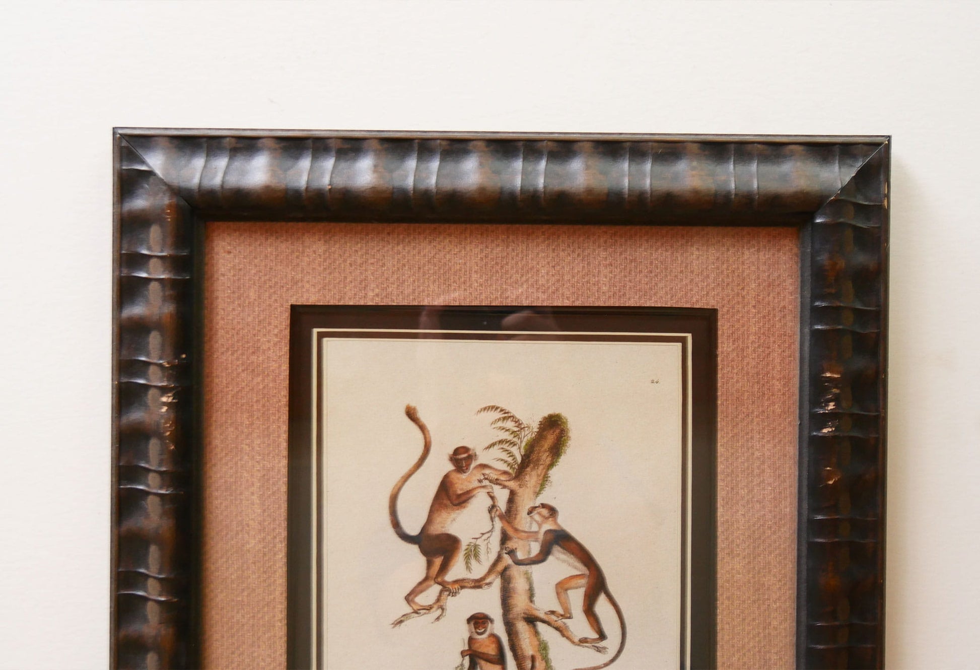 Vintage Framed Monkey Prints, Vintage Money Artwork, Vintage African Art, Monkey Drawing Prints, Monkey Lithograph, Vintage Zoo Art, Vintage Zoo Print, Vintage Monkey Drawing Print