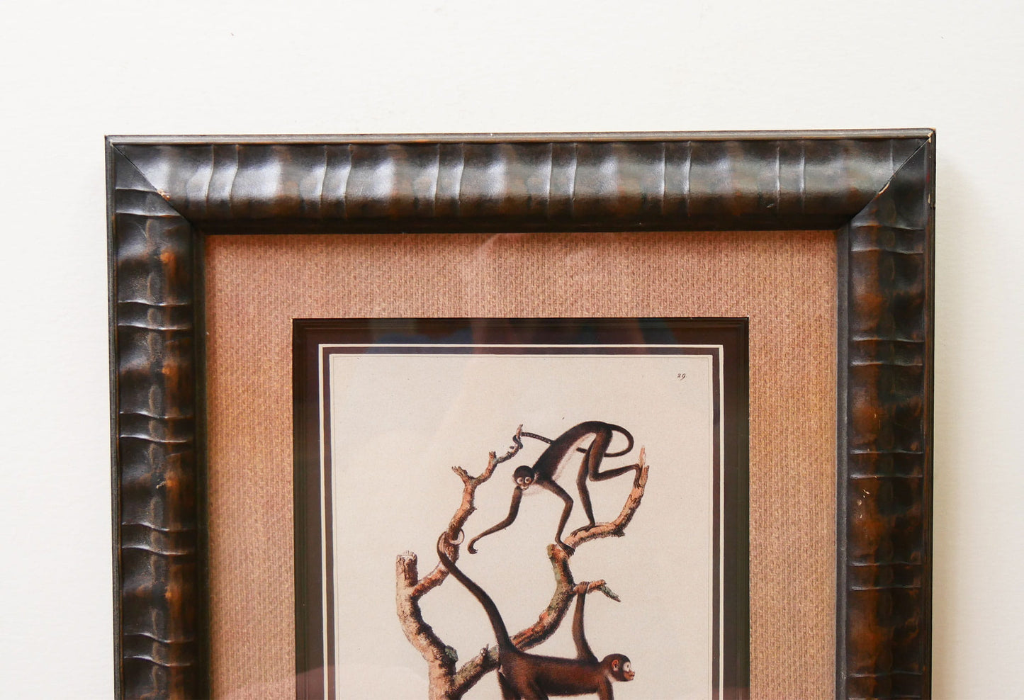 Vintage Framed Monkey Prints, Vintage Money Artwork, Vintage African Art, Monkey Drawing Prints, Monkey Lithograph, Vintage Zoo Art, Vintage Zoo Print, Vintage Monkey Drawing Print