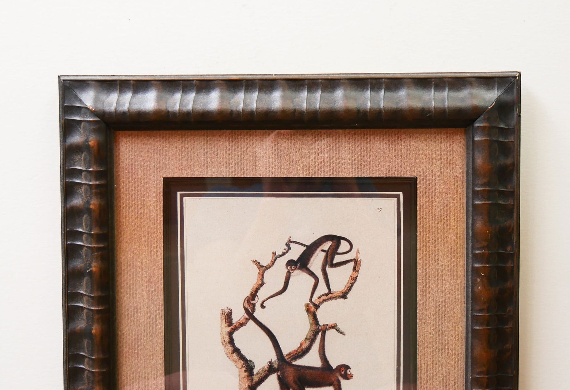 Vintage Framed Monkey Prints, Vintage Money Artwork, Vintage African Art, Monkey Drawing Prints, Monkey Lithograph, Vintage Zoo Art, Vintage Zoo Print, Vintage Monkey Drawing Print