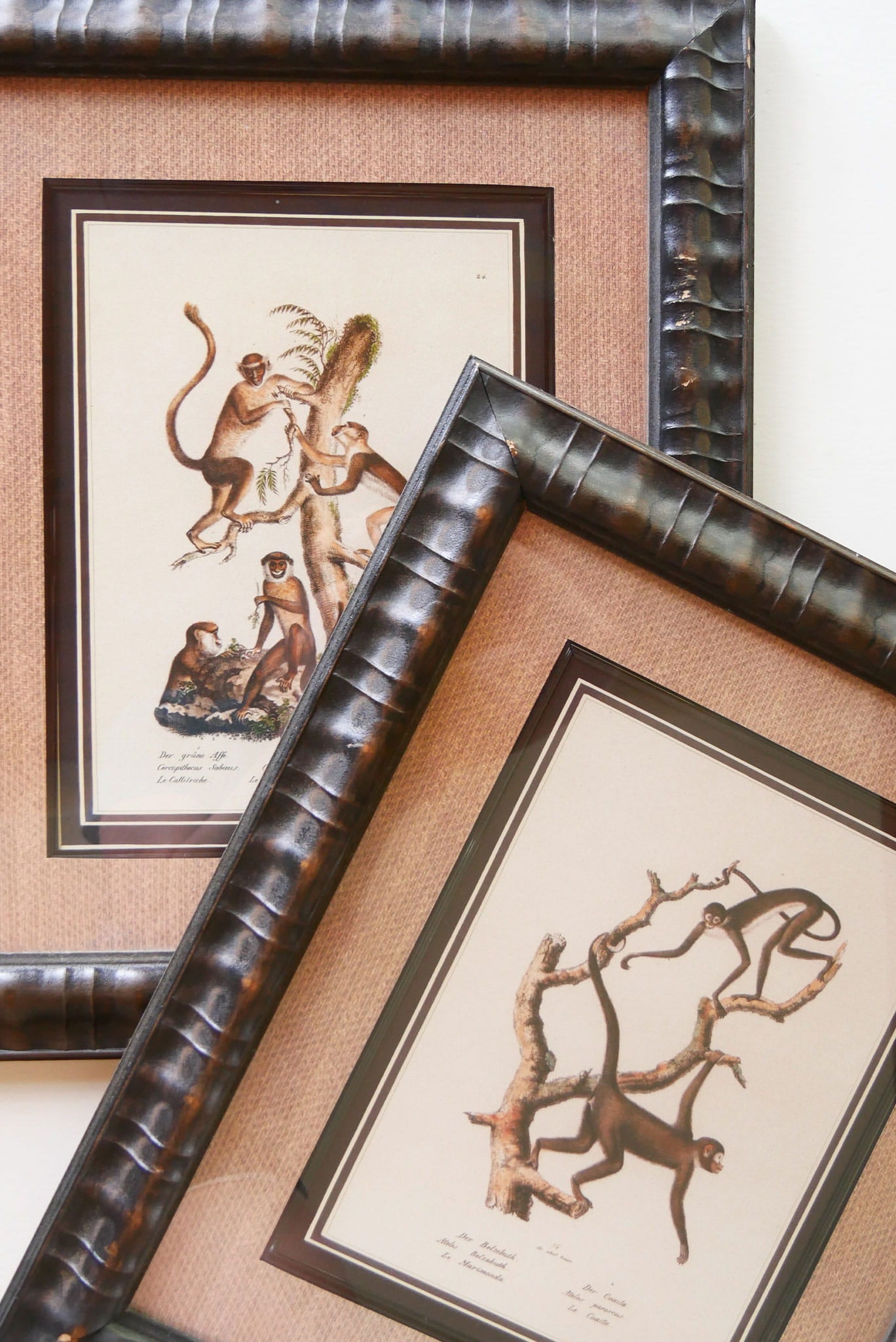 Vintage Framed Monkey Prints, Vintage Money Artwork, Vintage African Art, Monkey Drawing Prints, Monkey Lithograph, Vintage Zoo Art, Vintage Zoo Print, Vintage Monkey Drawing Print