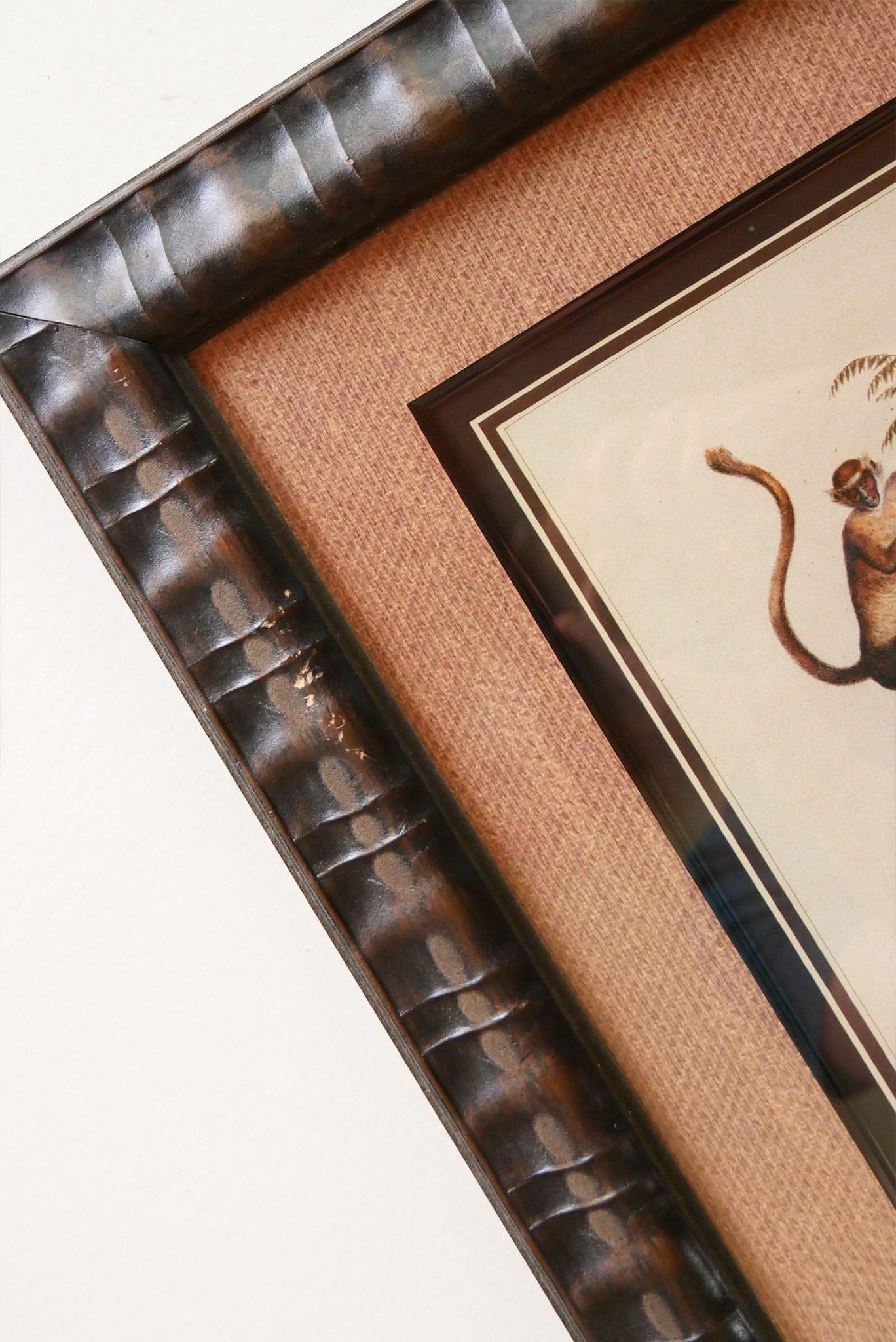 Vintage Framed Monkey Prints, Vintage Money Artwork, Vintage African Art, Monkey Drawing Prints, Monkey Lithograph, Vintage Zoo Art, Vintage Zoo Print, Vintage Monkey Drawing Print