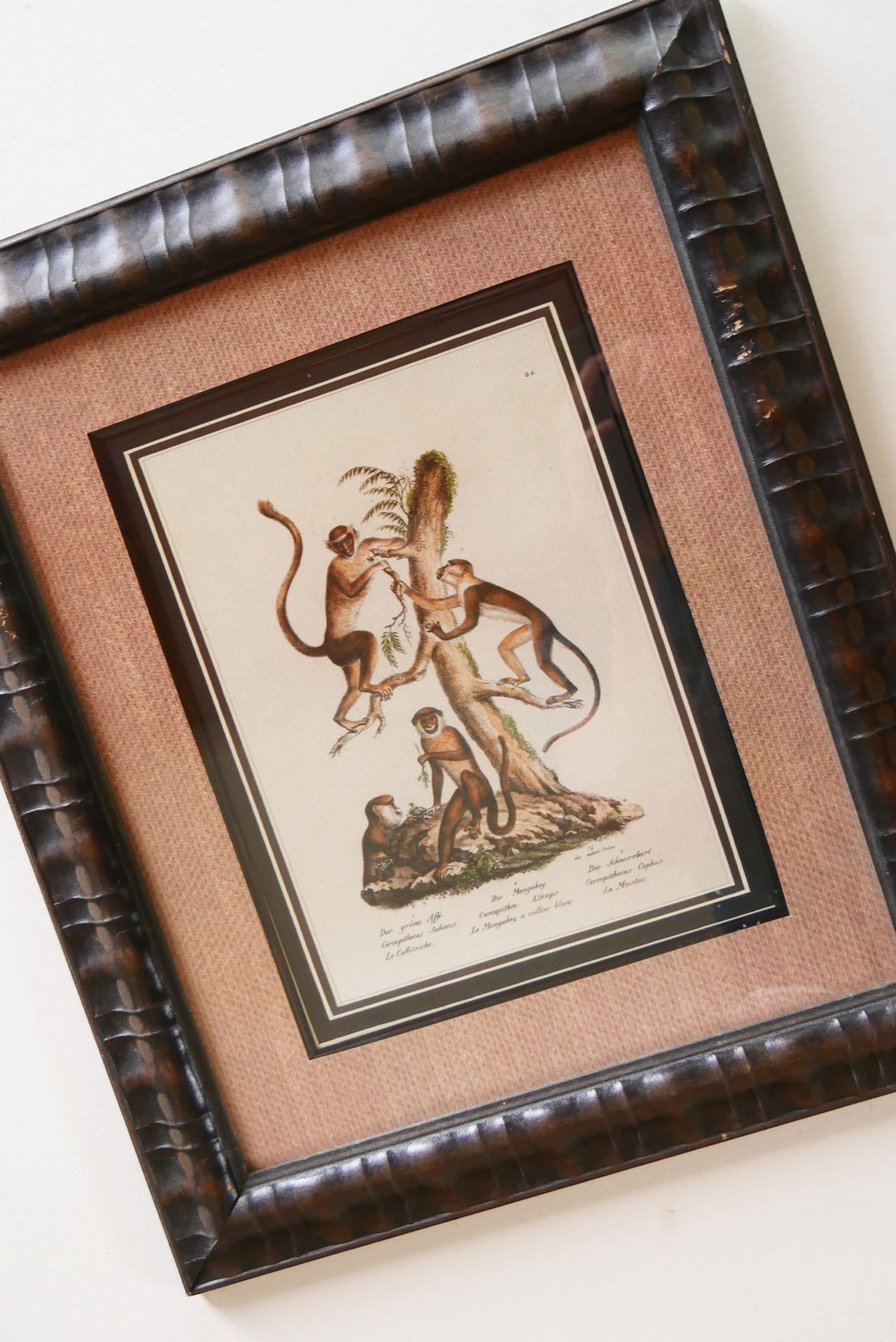 Vintage Framed Monkey Prints, Vintage Money Artwork, Vintage African Art, Monkey Drawing Prints, Monkey Lithograph, Vintage Zoo Art, Vintage Zoo Print, Vintage Monkey Drawing Print