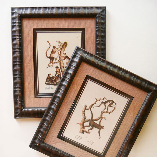 Vintage Framed Monkey Prints, Vintage Money Artwork, Vintage African Art, Monkey Drawing Prints, Monkey Lithograph, Vintage Zoo Art, Vintage Zoo Print, Vintage Monkey Drawing Print