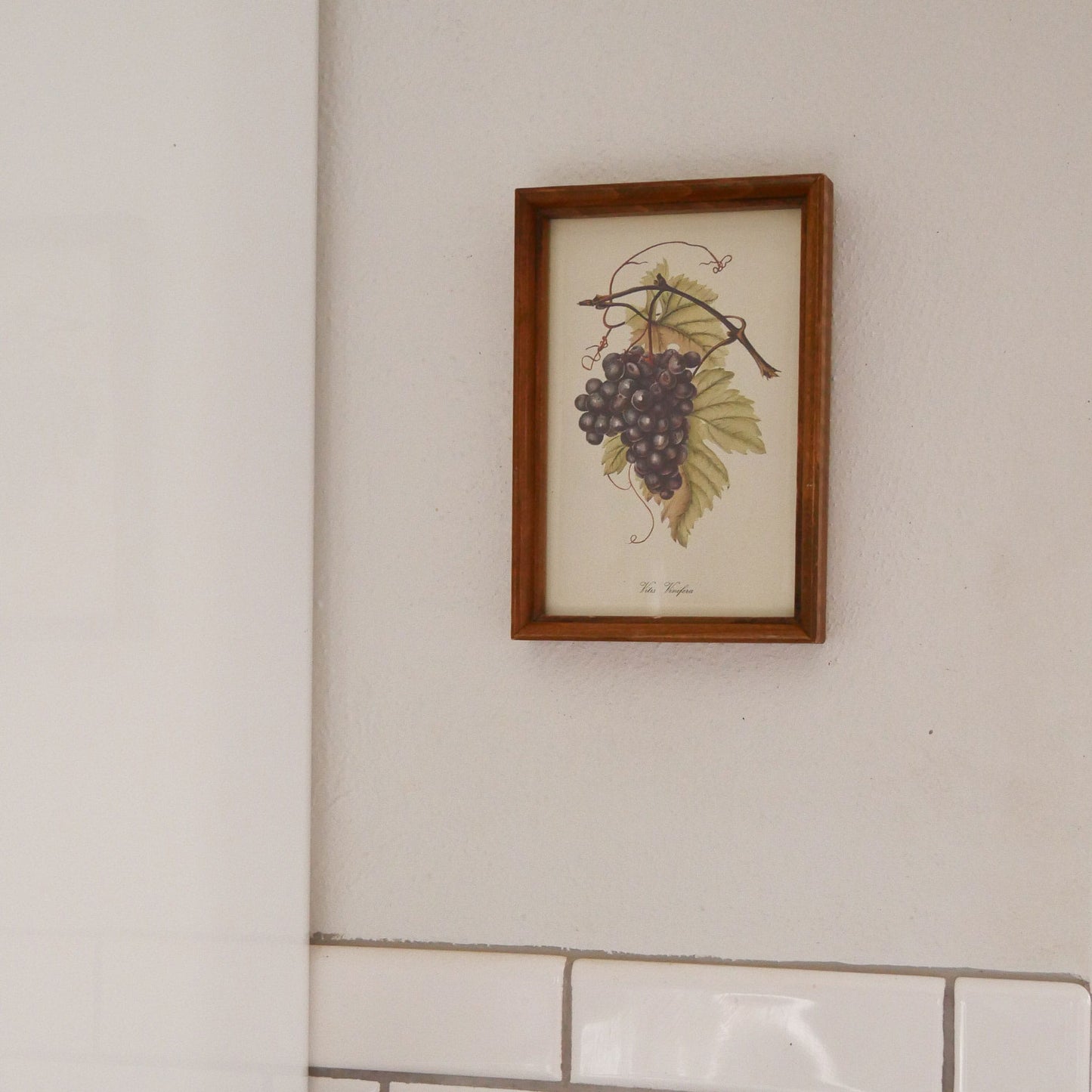 Vintage Framed Purple Grapes Print, Vintage Kitchen Decor, Vintage Fruit Artwork, Vintage Fruit Print, Vintage Kitchen Fruit Wall Decor, Vintage Kitchen Wall Decor
