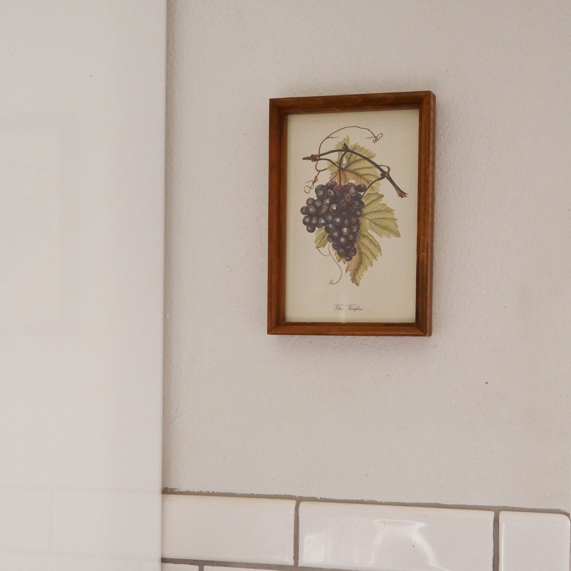Vintage Framed Purple Grapes Print, Vintage Kitchen Decor, Vintage Fruit Artwork, Vintage Fruit Print, Vintage Kitchen Fruit Wall Decor, Vintage Kitchen Wall Decor